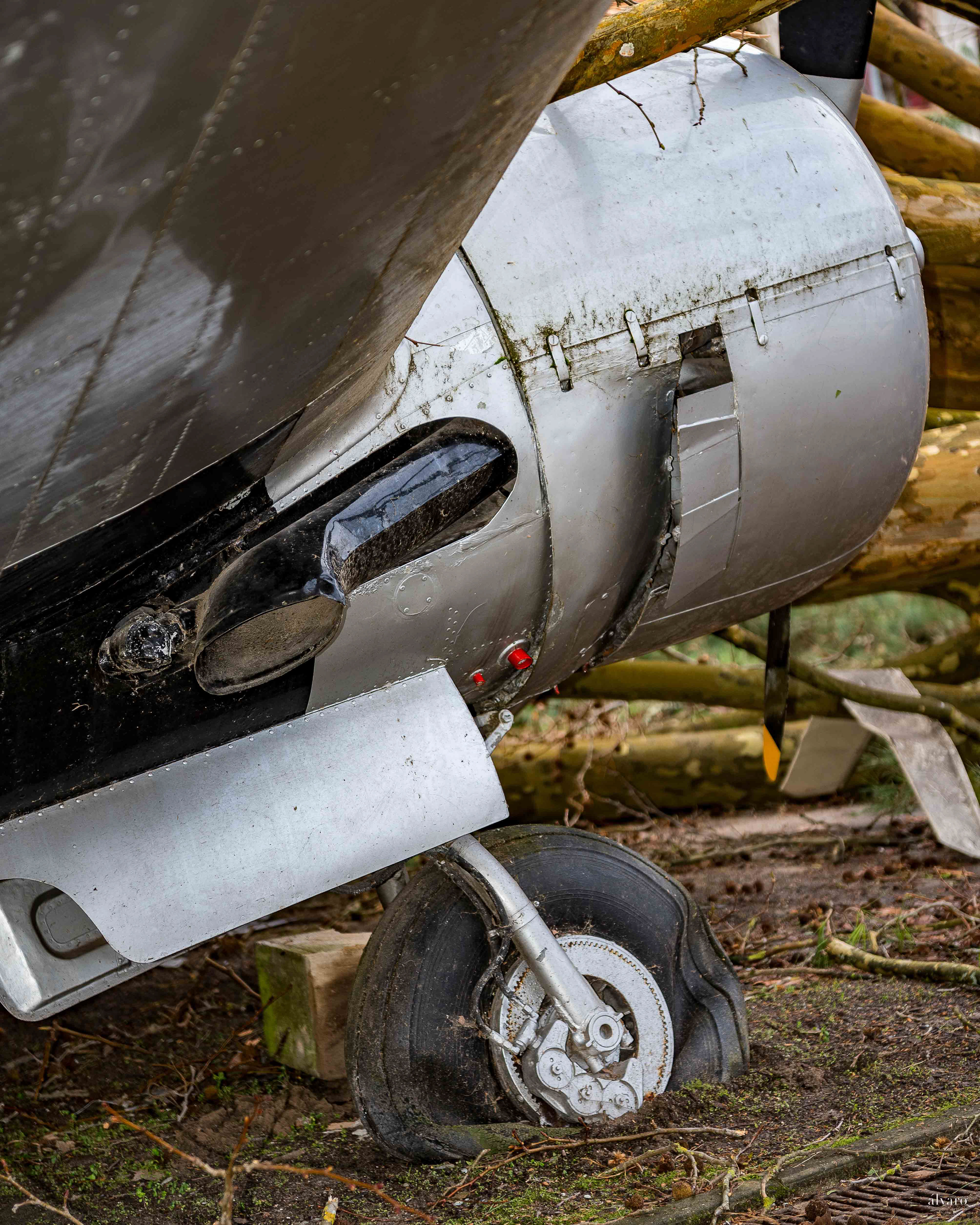 Dia 1 primeiras horas