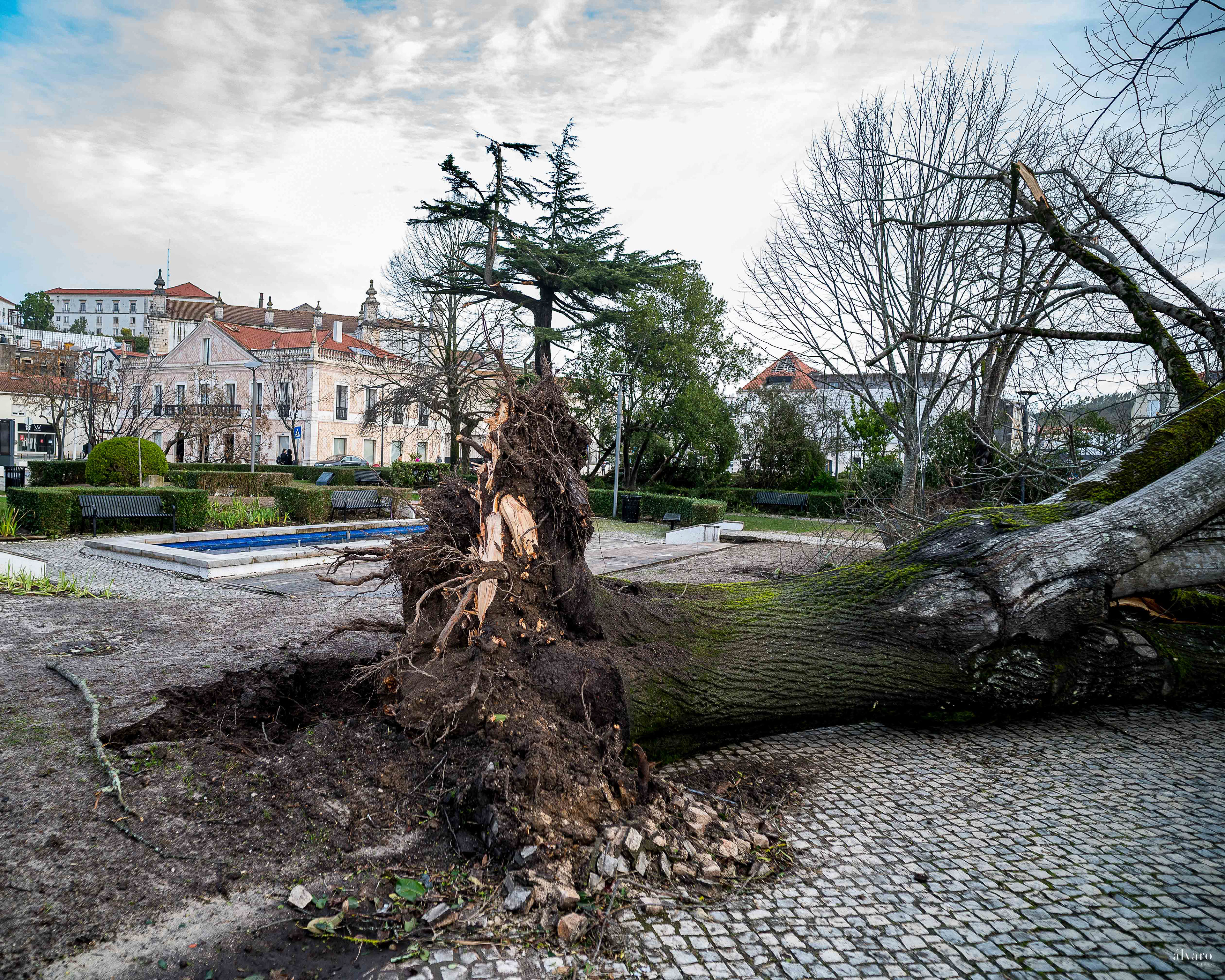 Dia 1 primeiras horas
