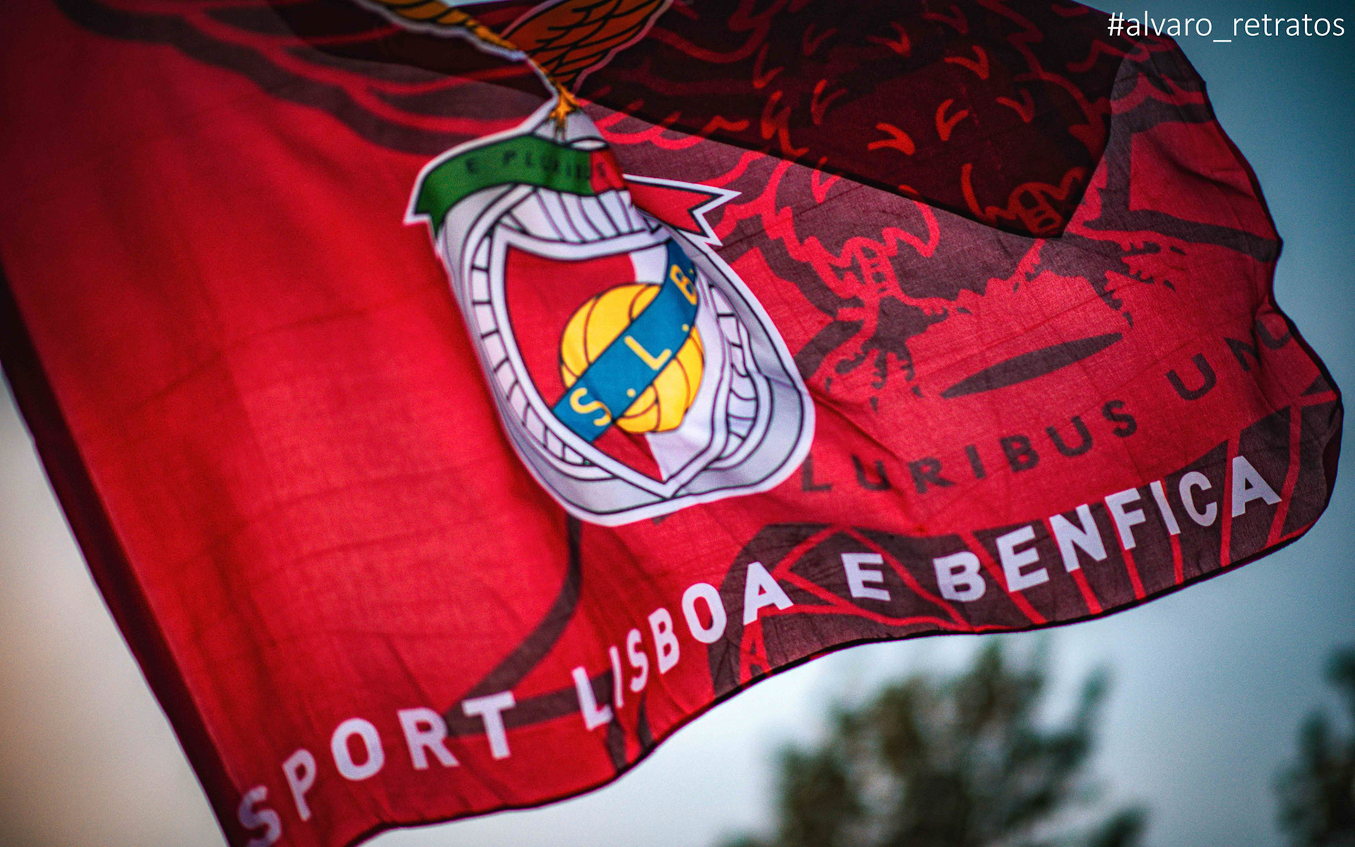 SLB 38 - Leiria