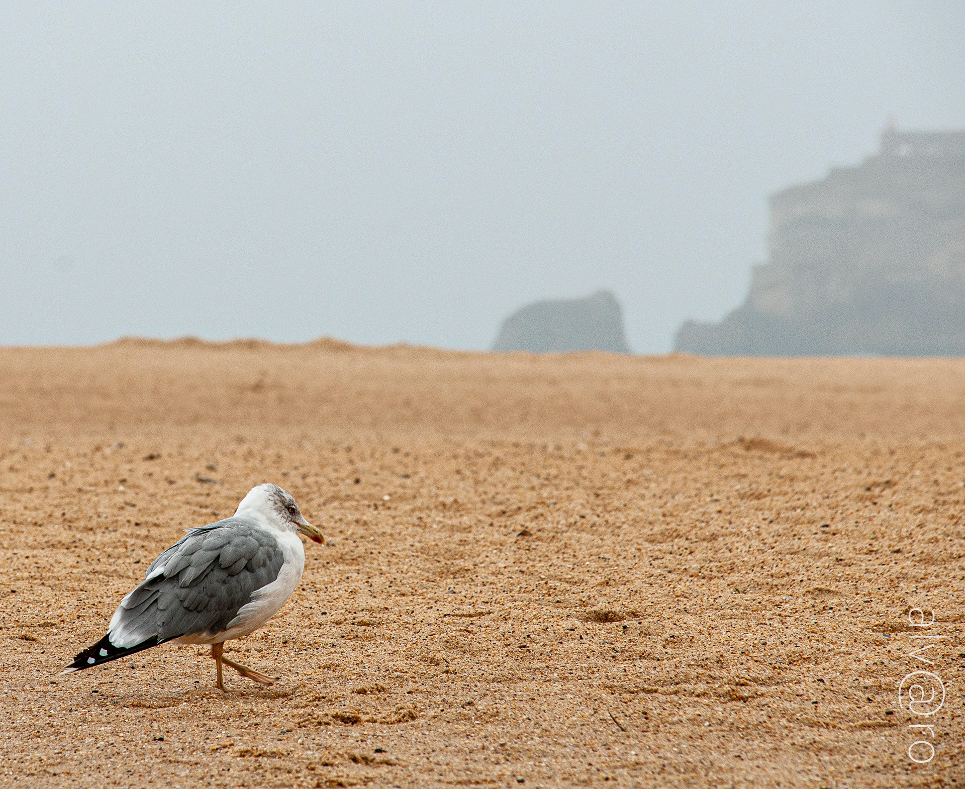 Nazaré
