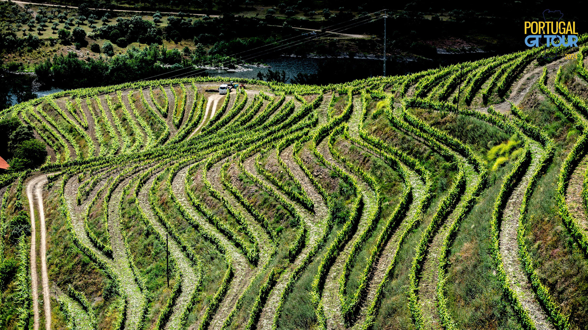 © Copyright uso não autorizado