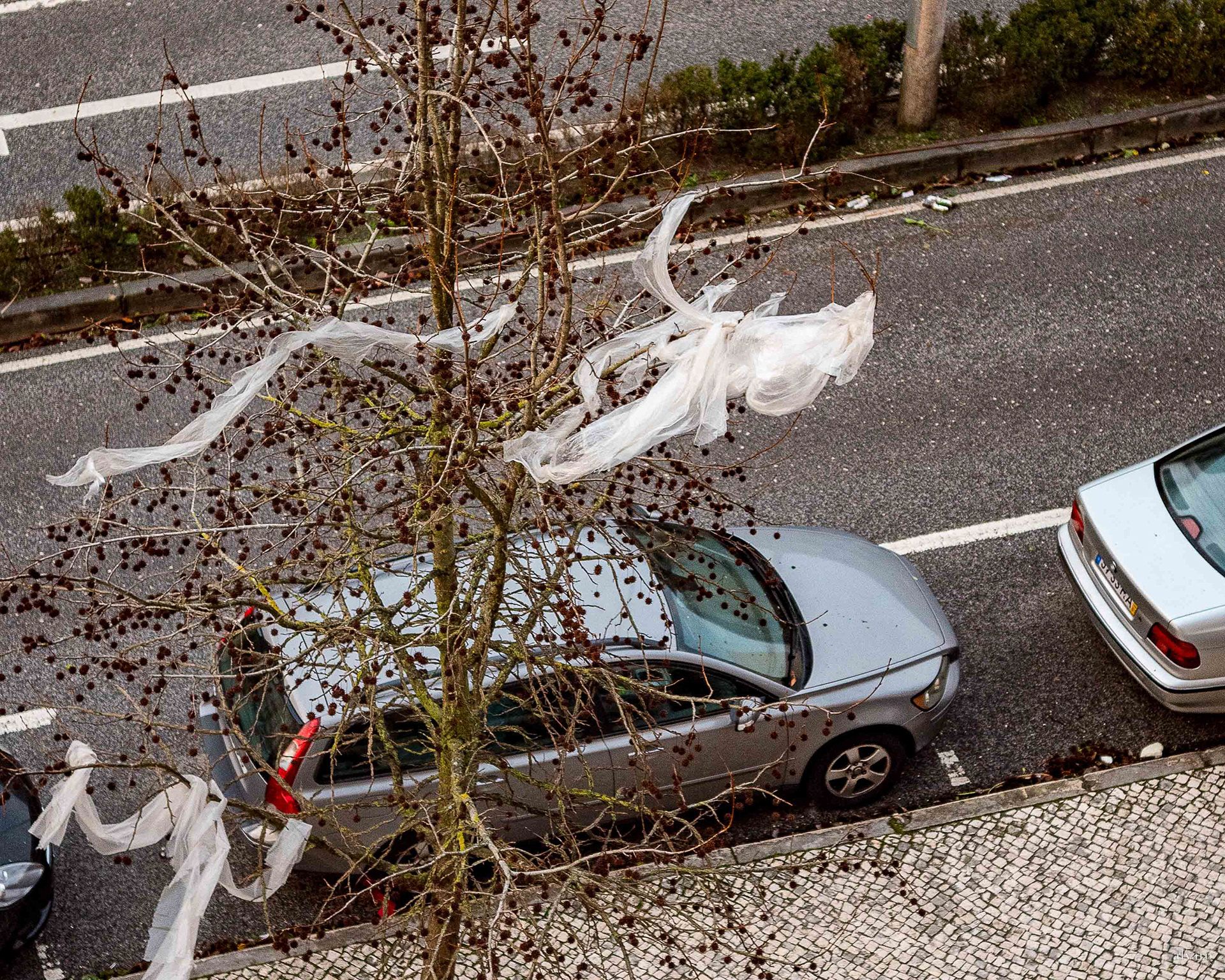 Dia 1 primeiras horas