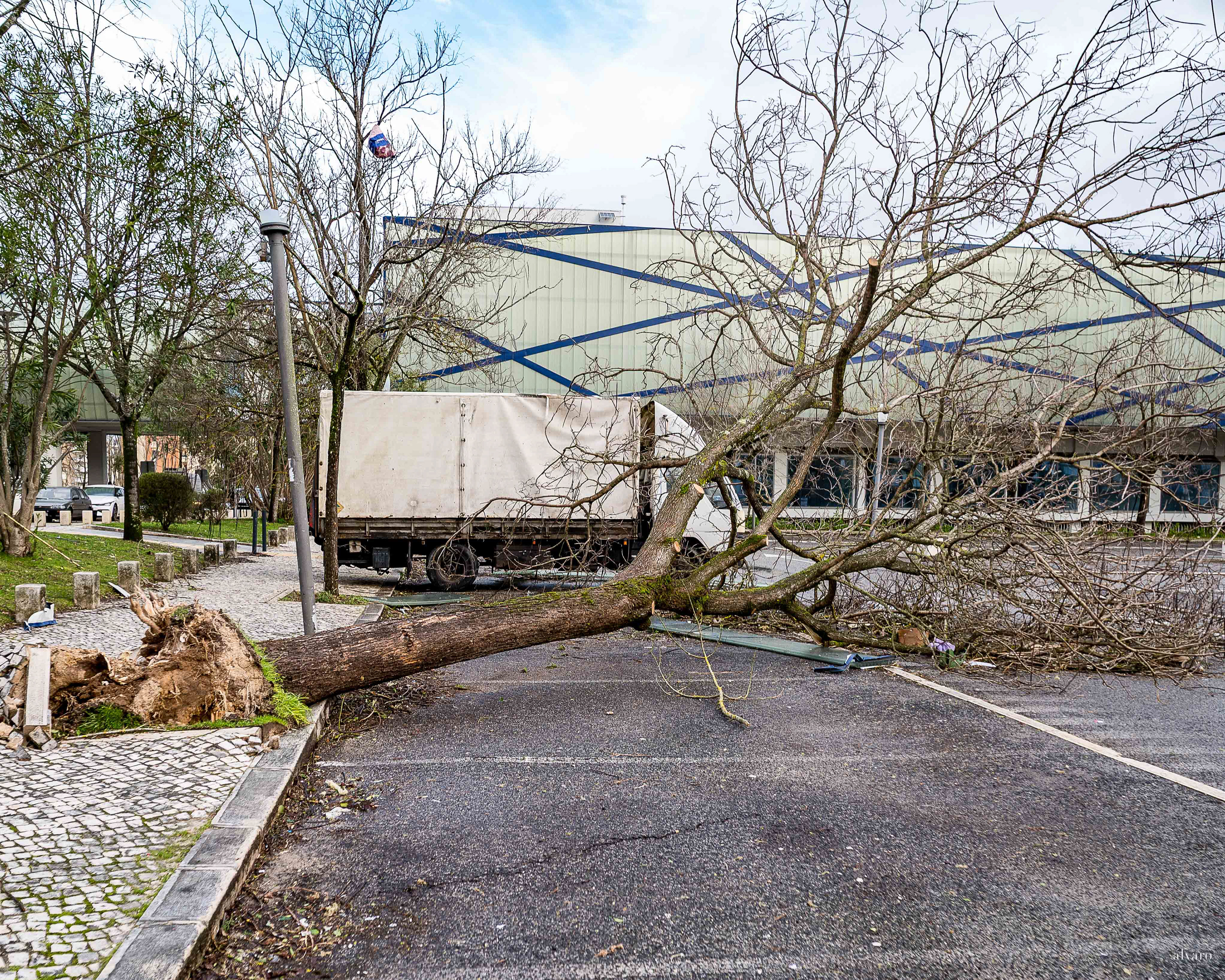Dia 1 primeiras horas