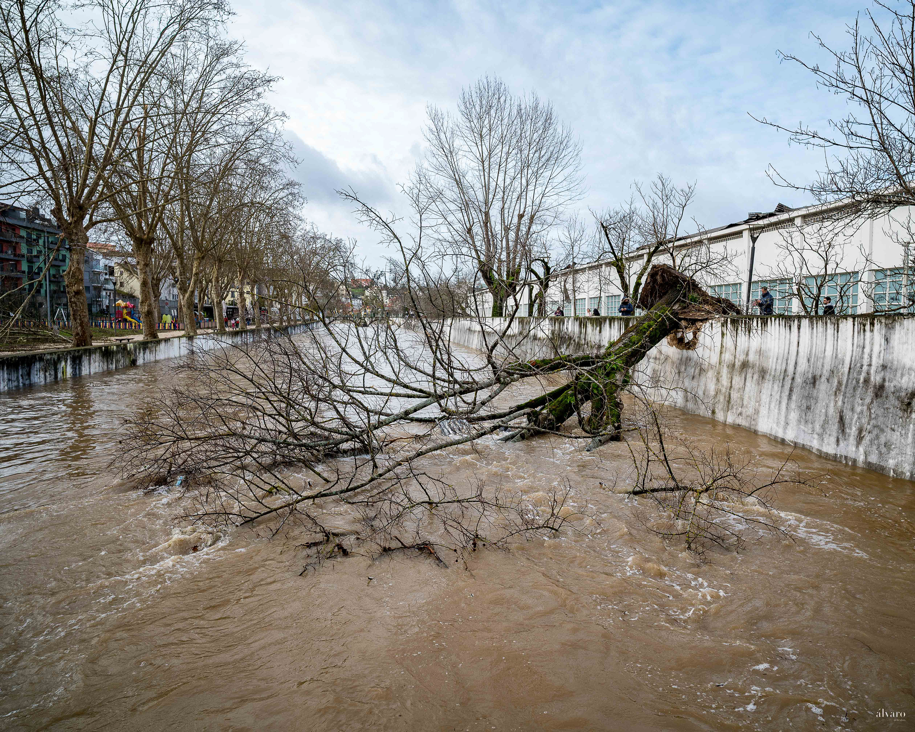 Dia 1 primeiras horas