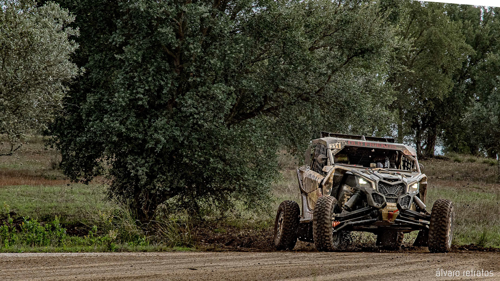 © Copyright uso não autorizado