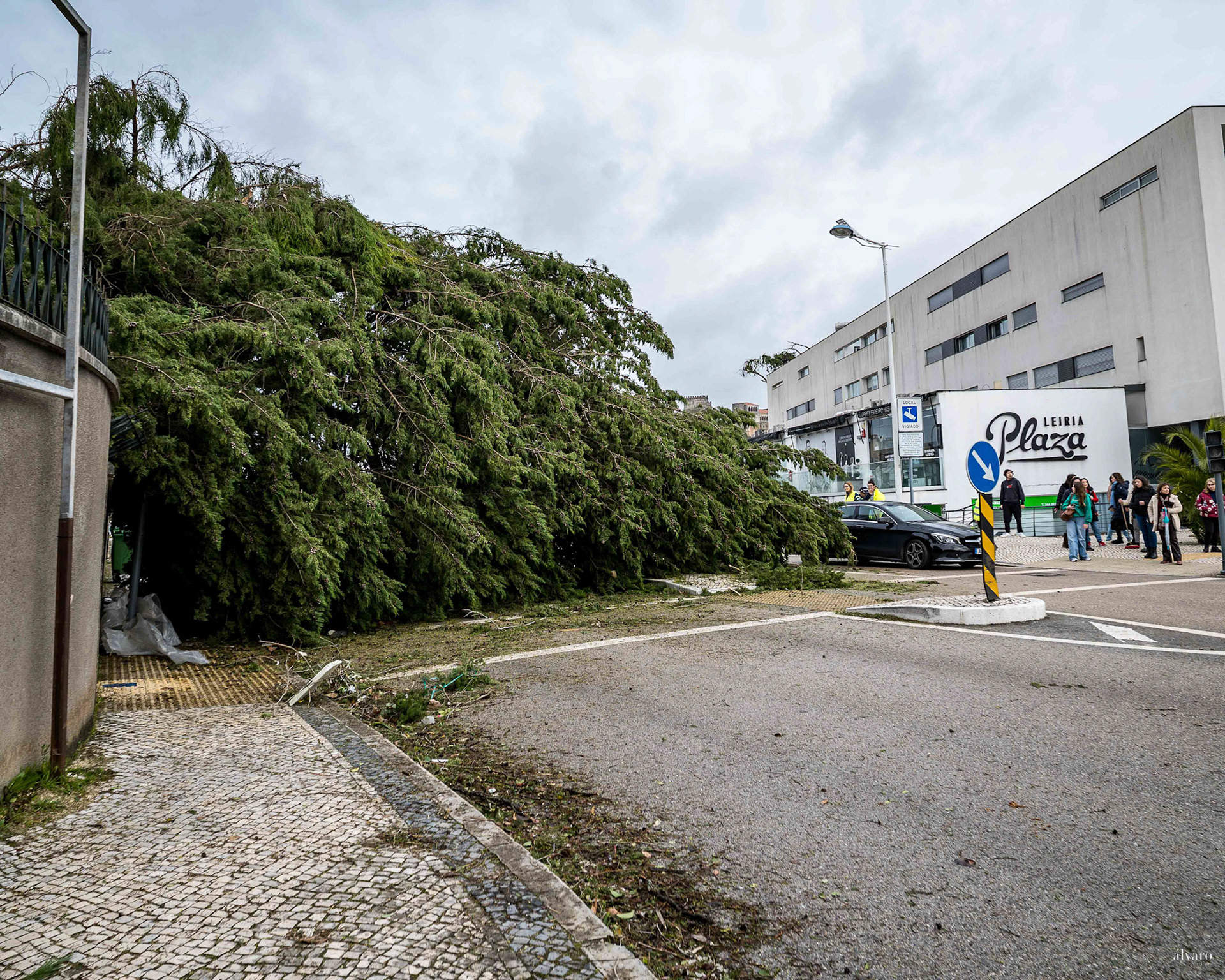 Dia 1 primeiras horas