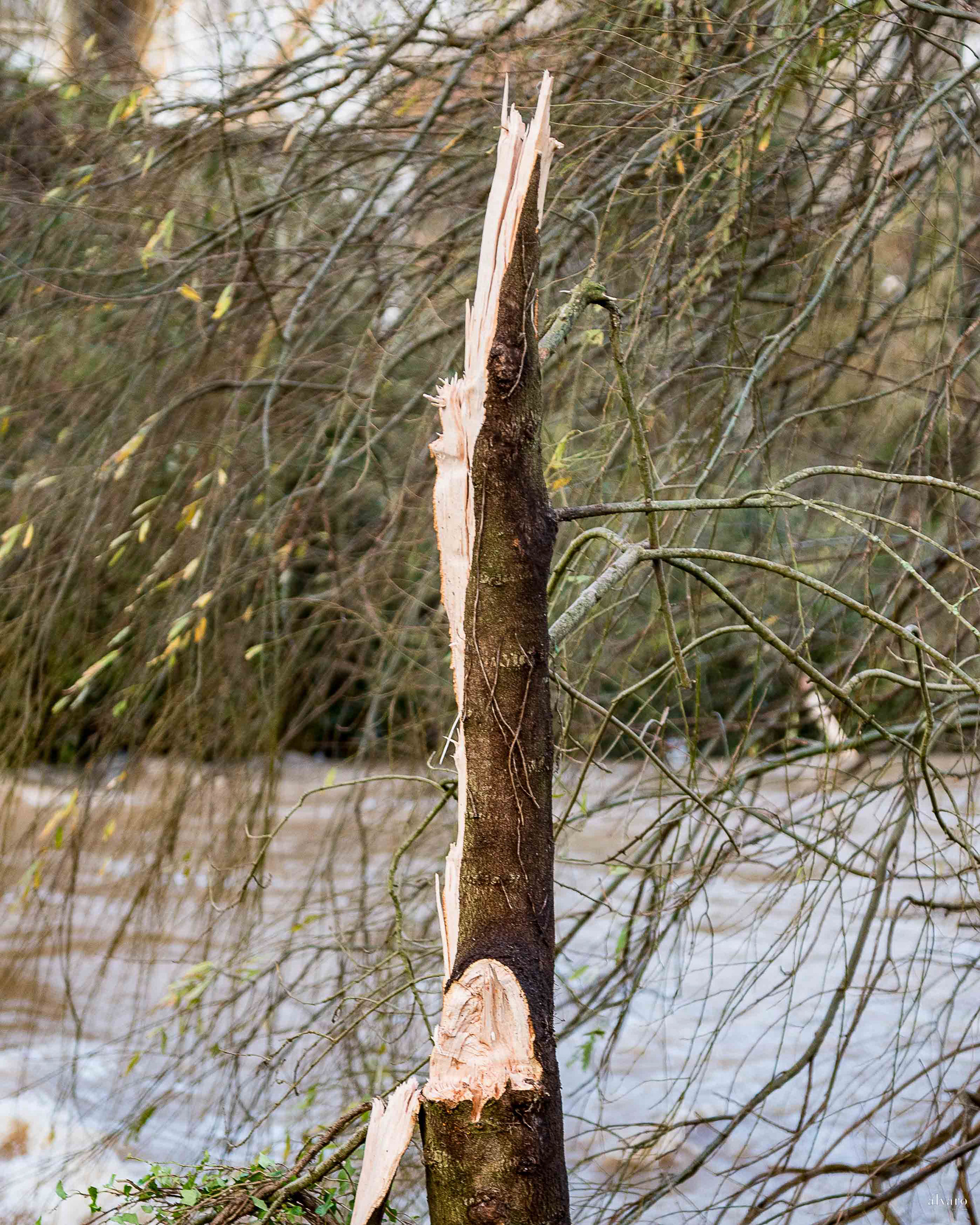 Dia 1 primeiras horas