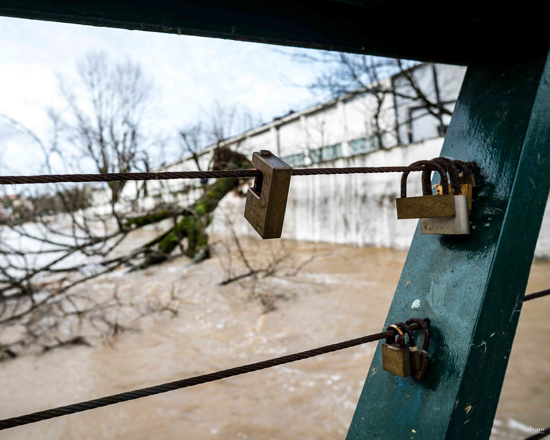 Dia 1 primeiras horas
