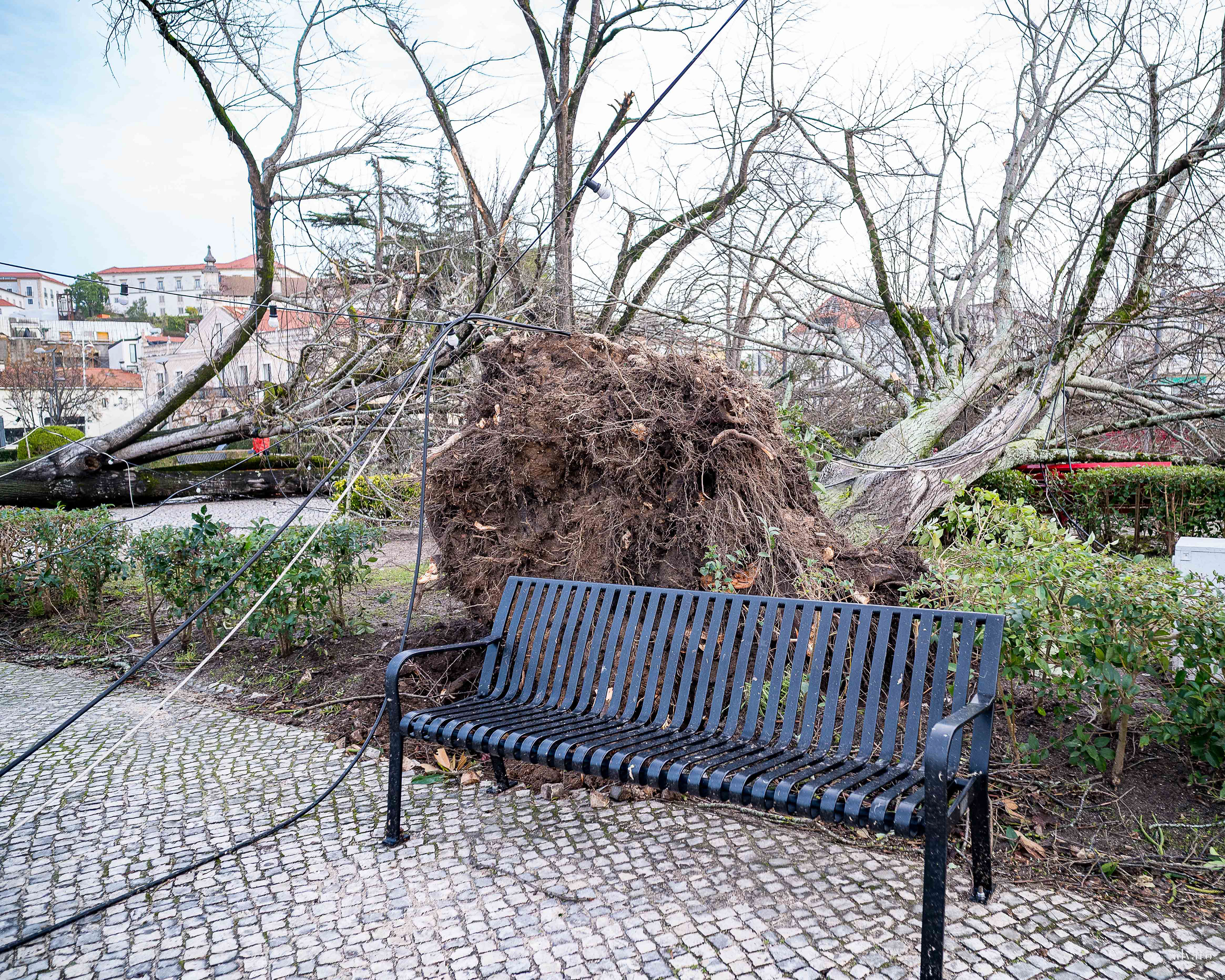 Dia 1 primeiras horas