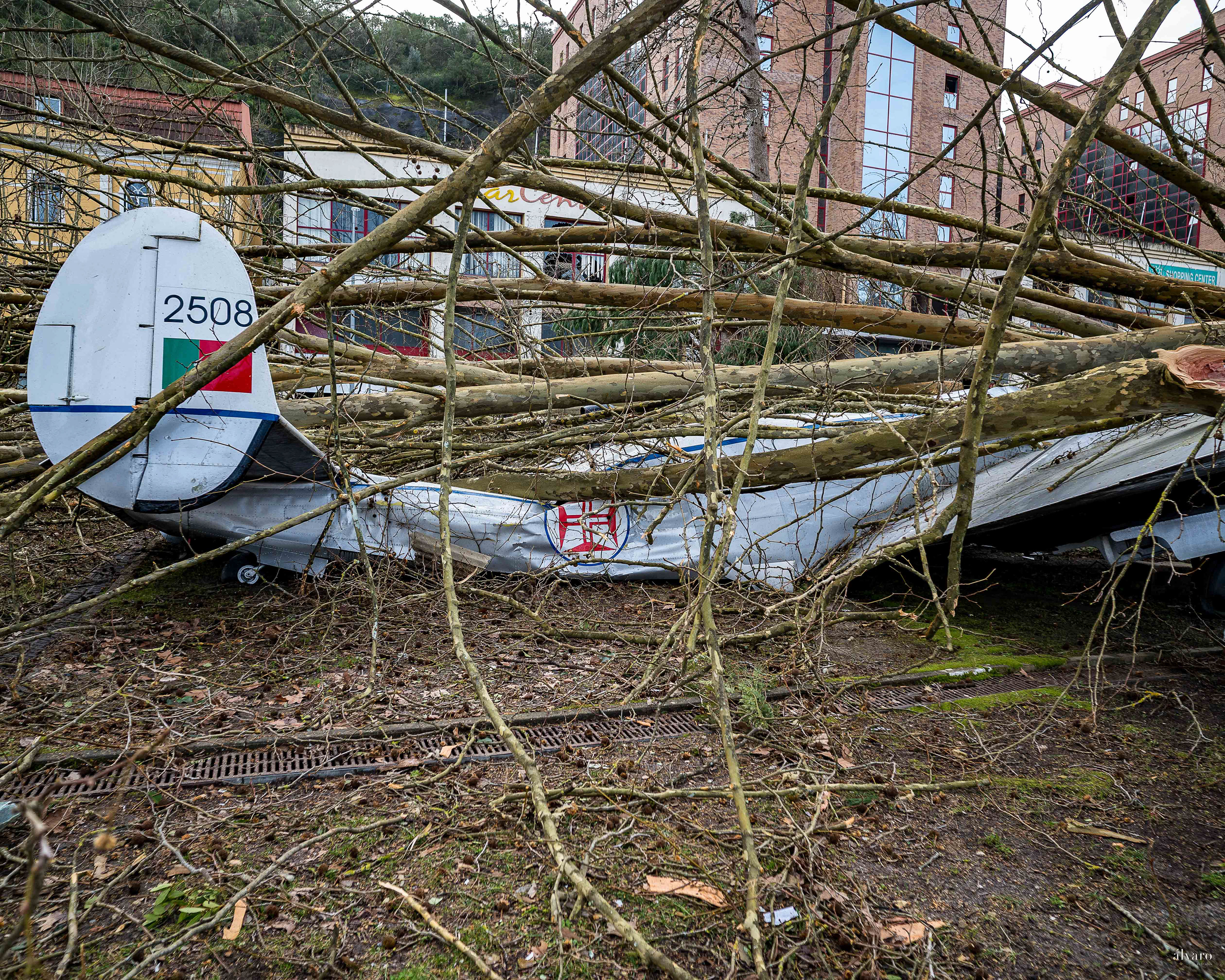 Dia 1 primeiras horas