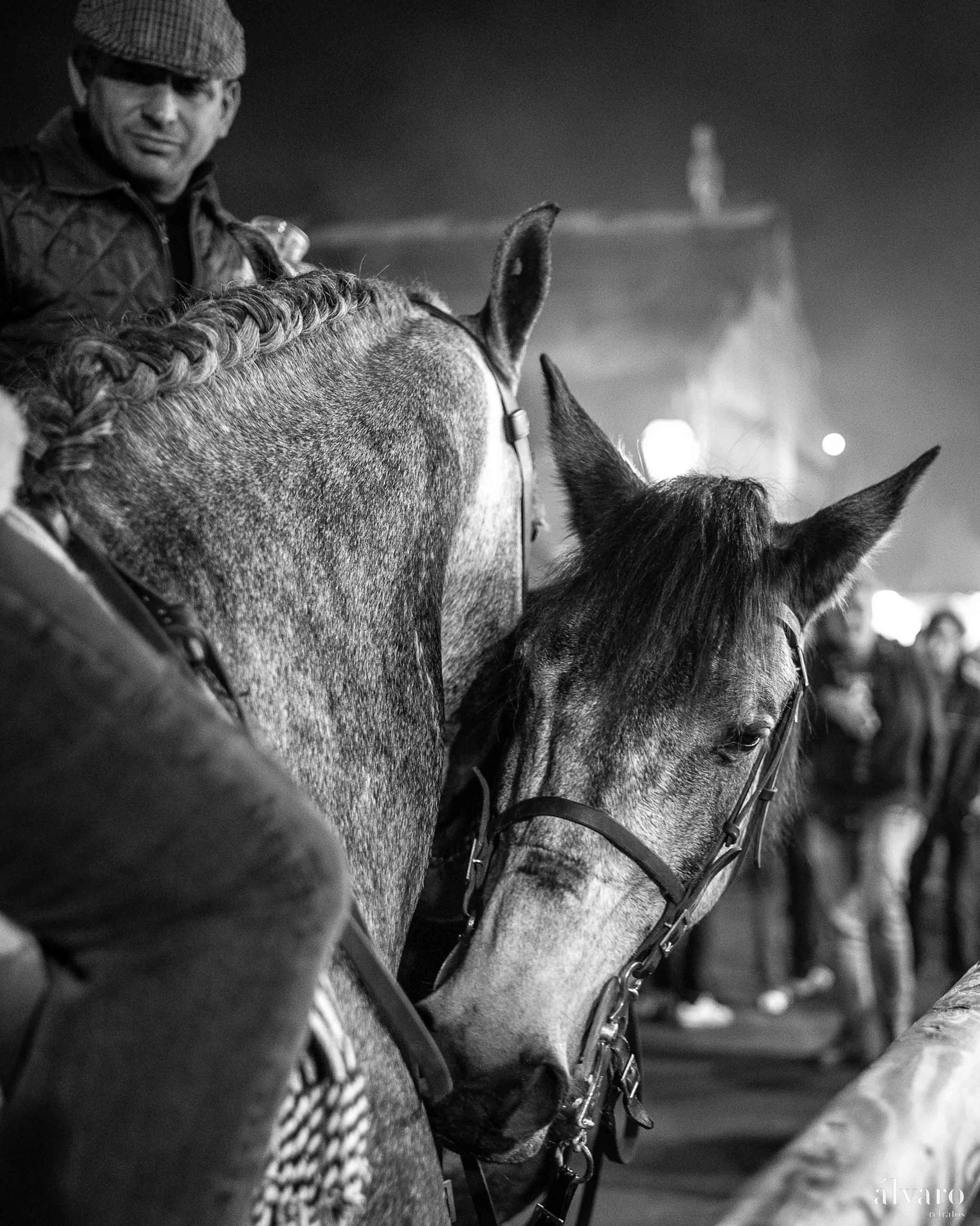 © Copyright uso não autorizado