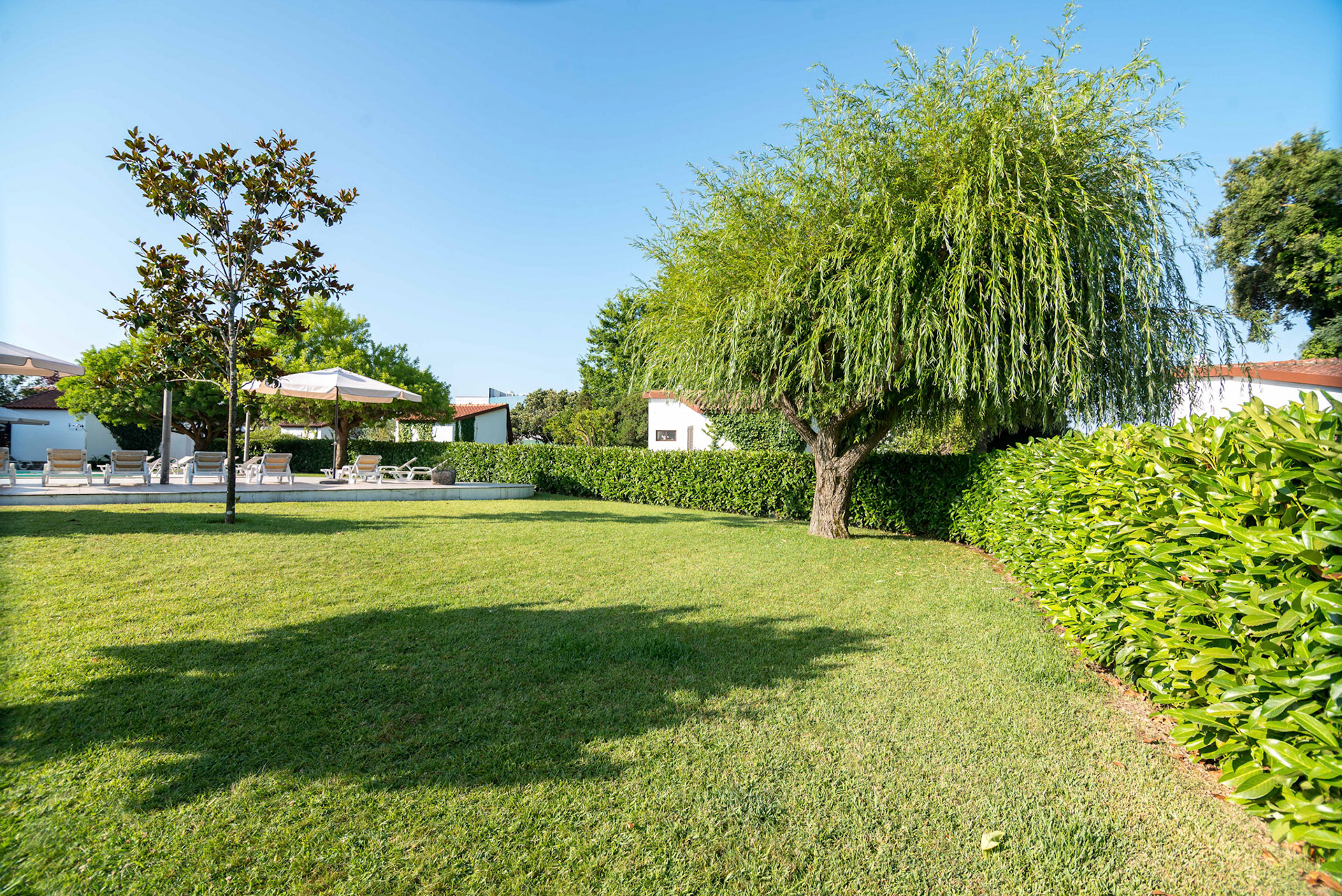 © Copyright uso não autorizado