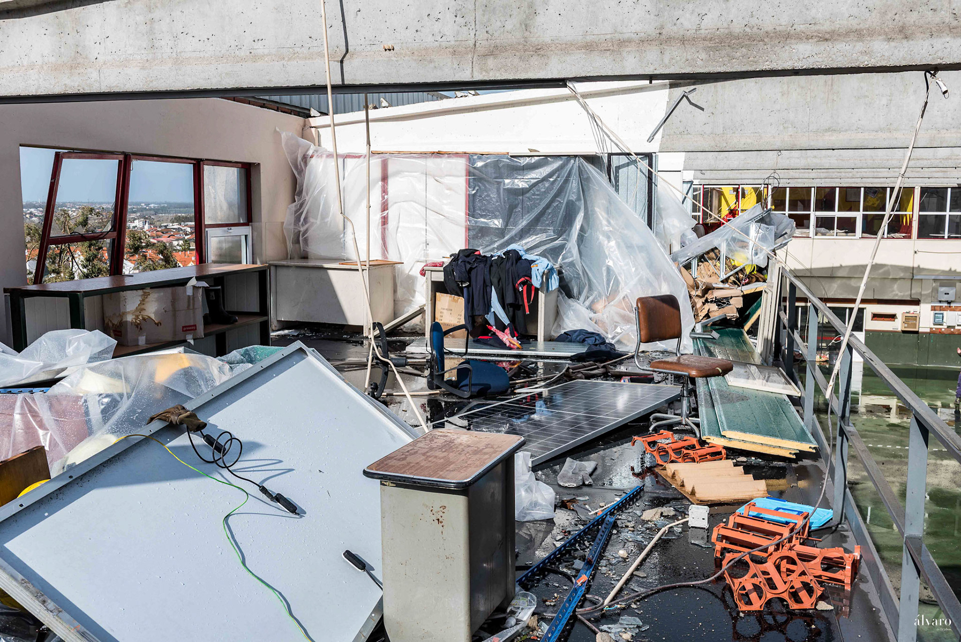 BV Leiria precisam ajuda