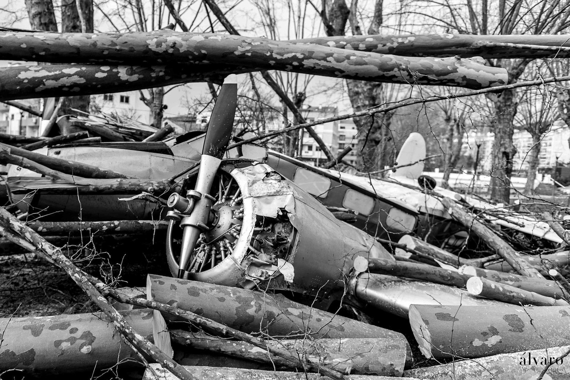 Dia 1 primeiras horas