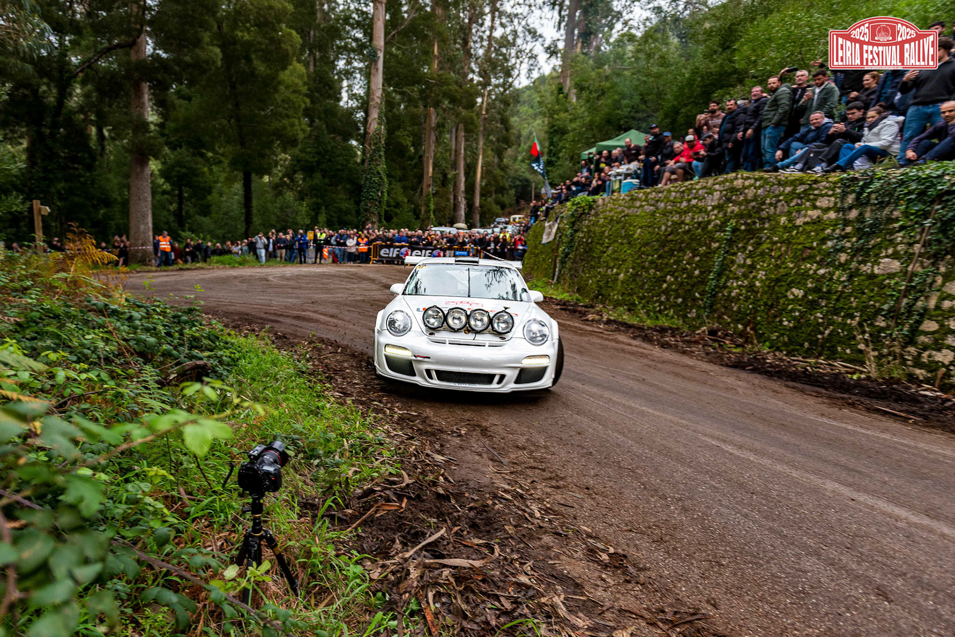 © Copyright uso não autorizado