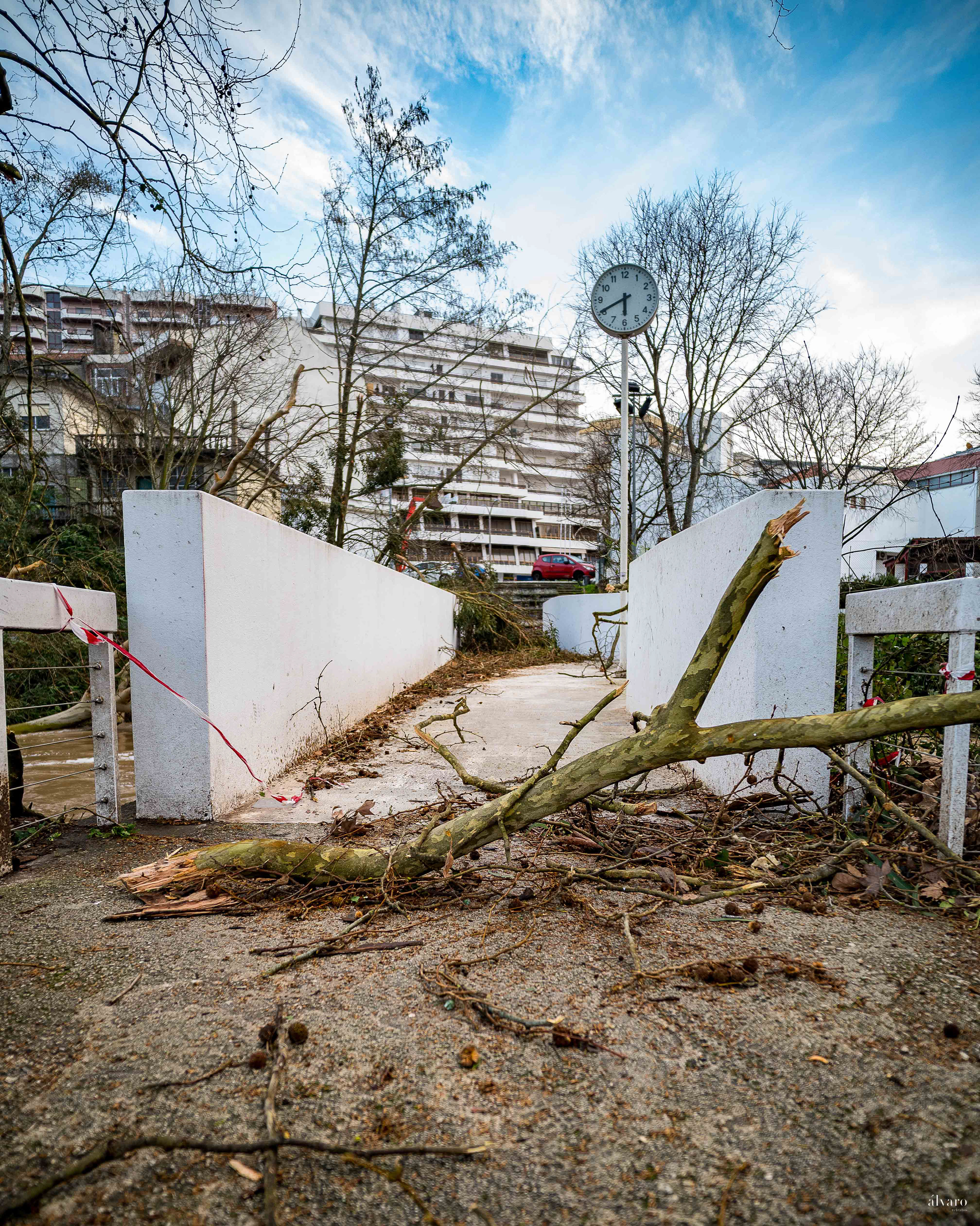 Dia 1 primeiras horas
