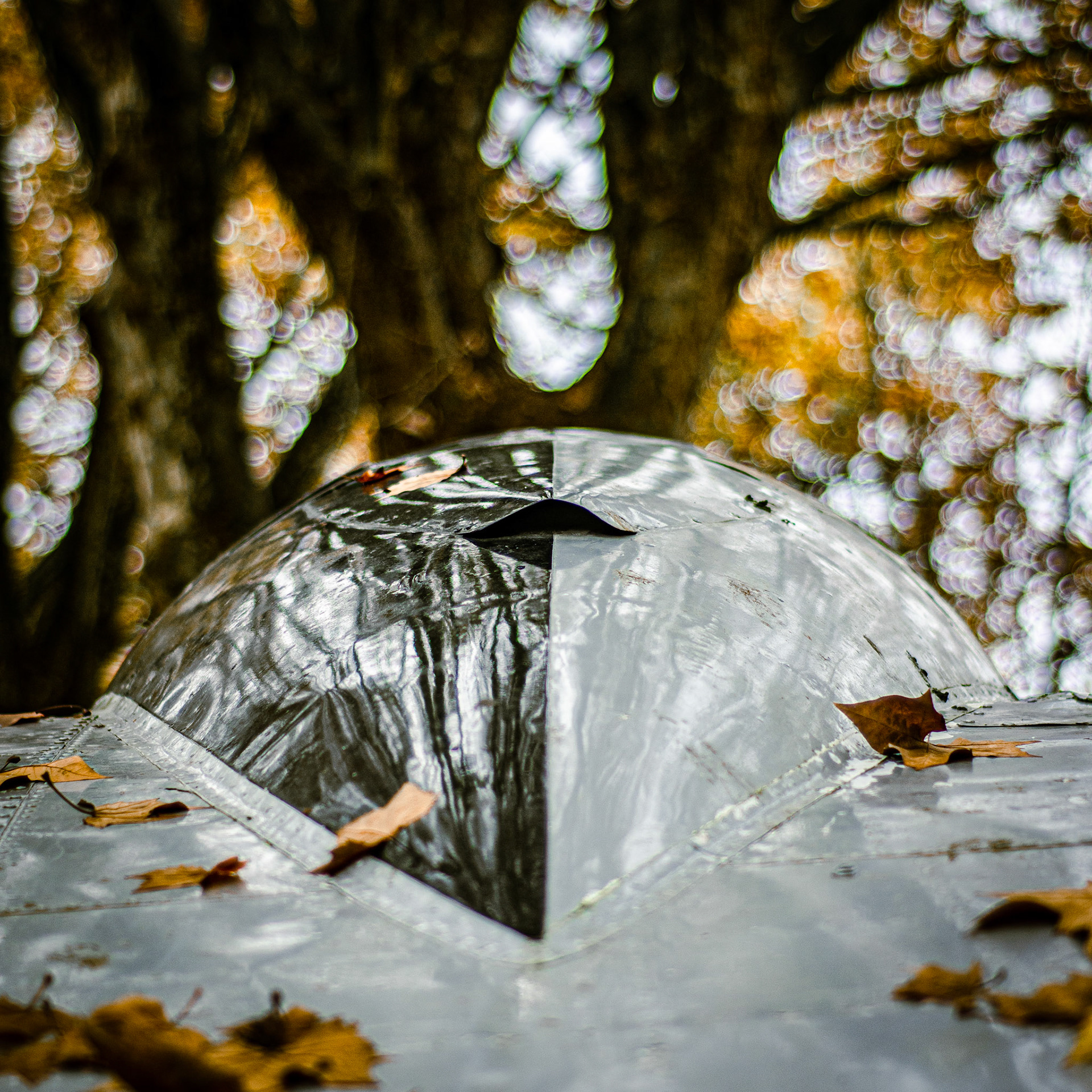 Parque do Avião - Nov 2022
