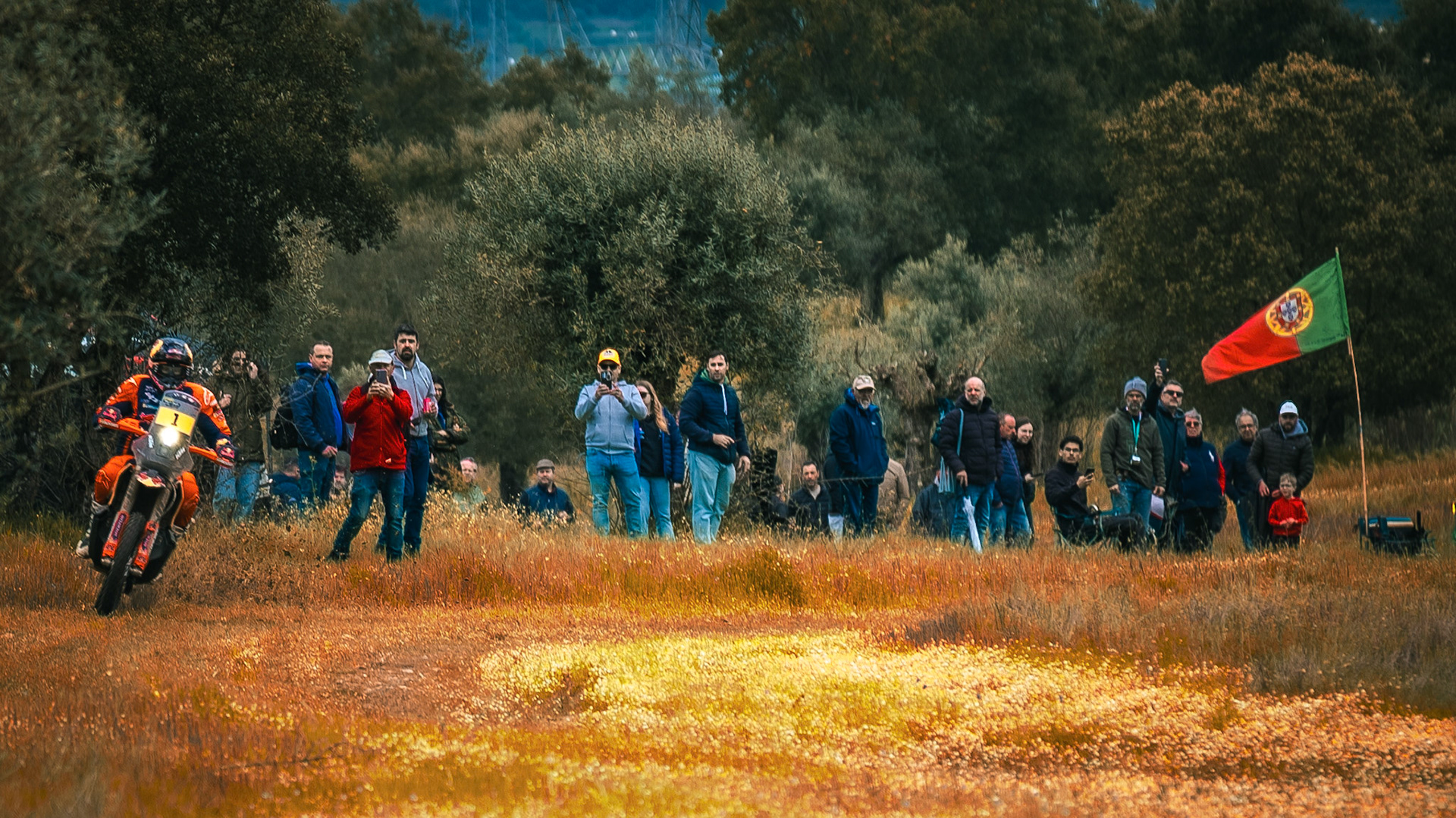 © Copyright uso não autorizado