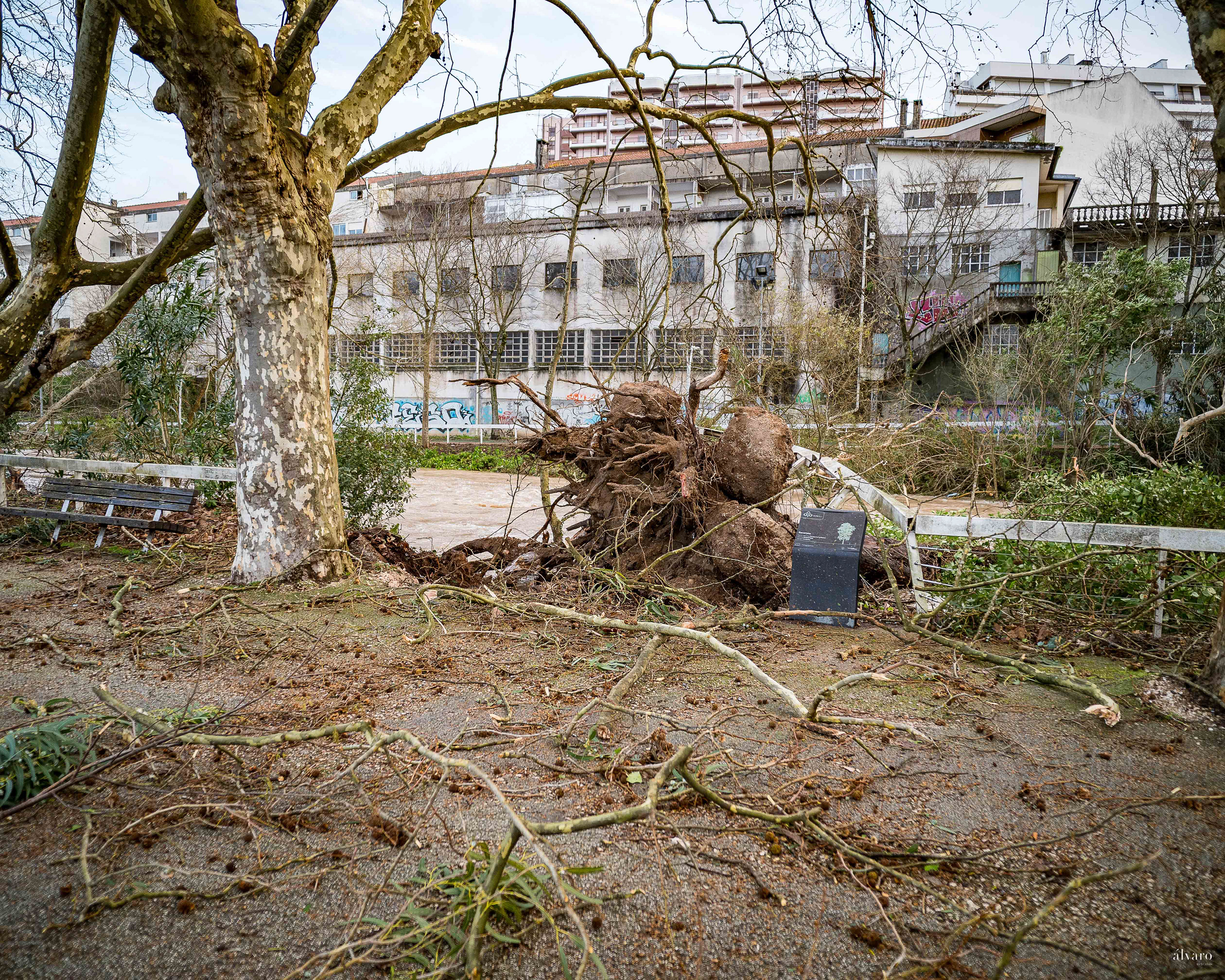 Dia 1 primeiras horas