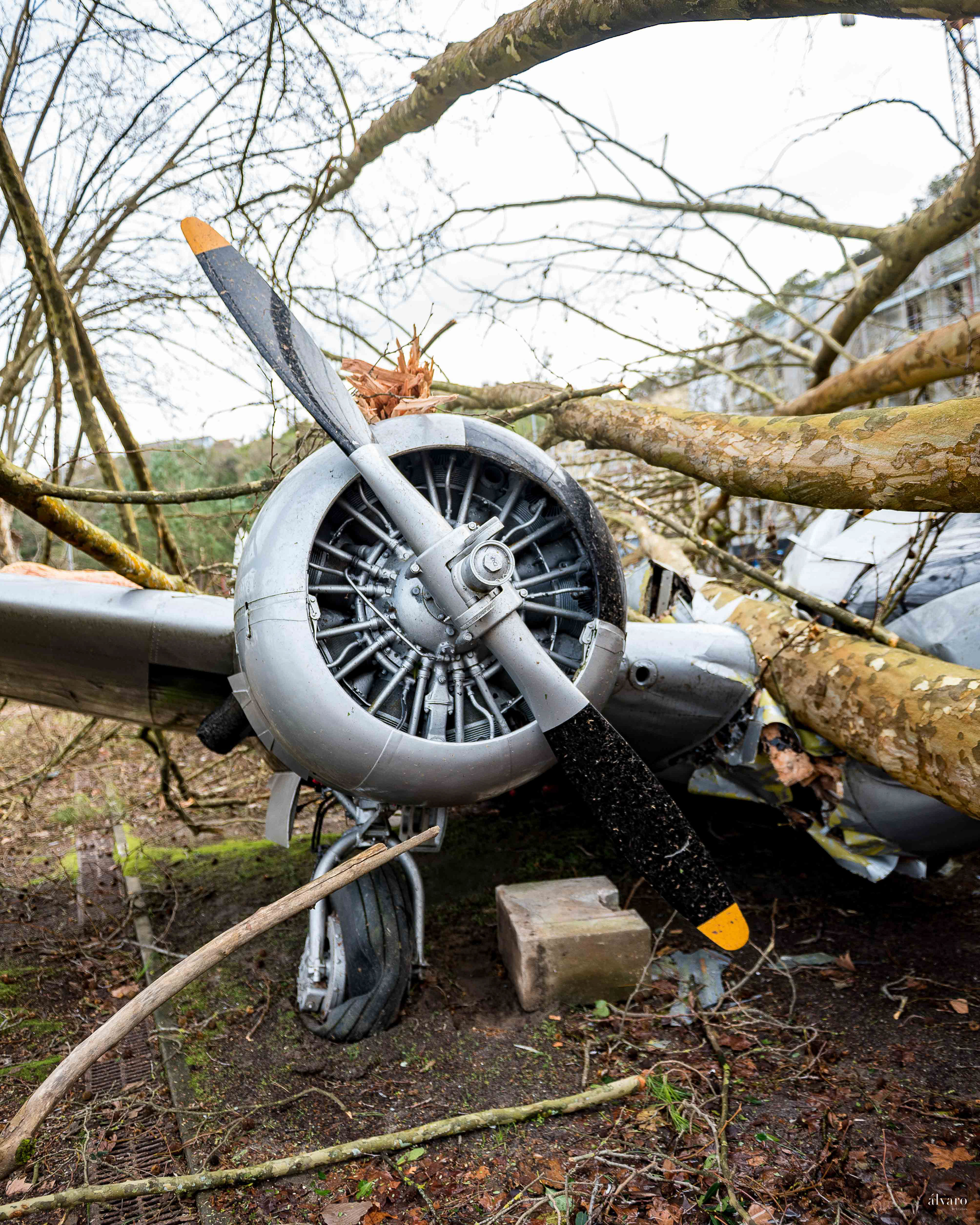 Dia 1 primeiras horas