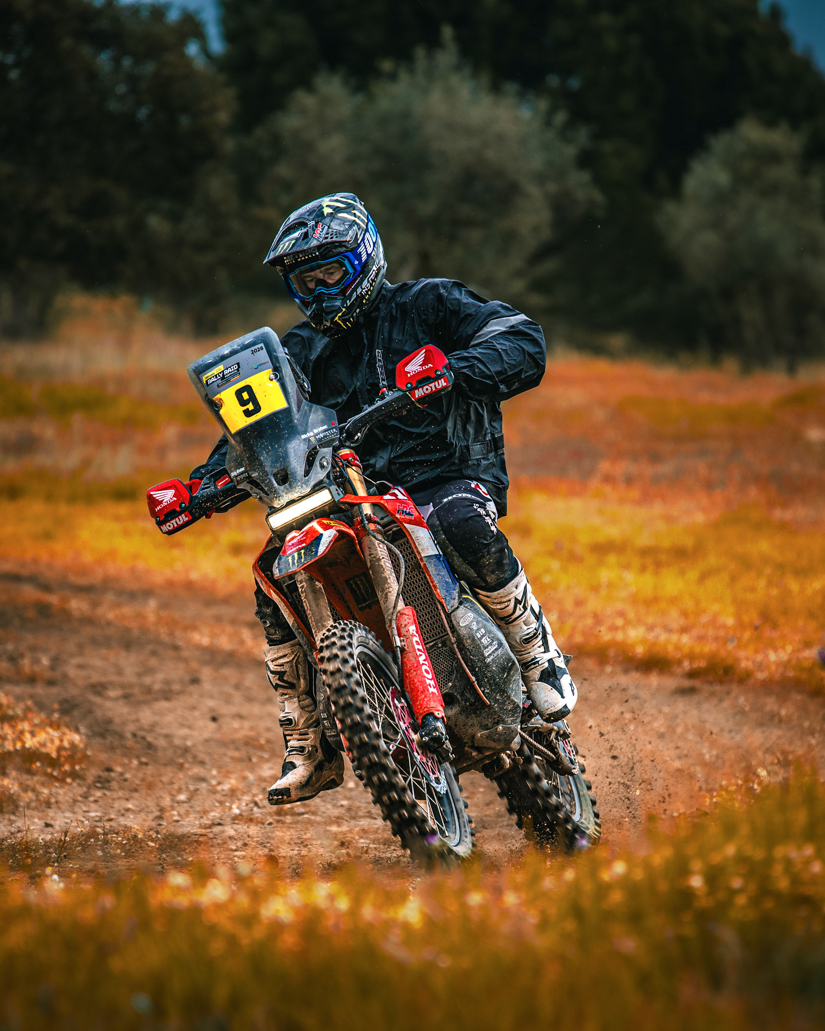 © Copyright uso não autorizado