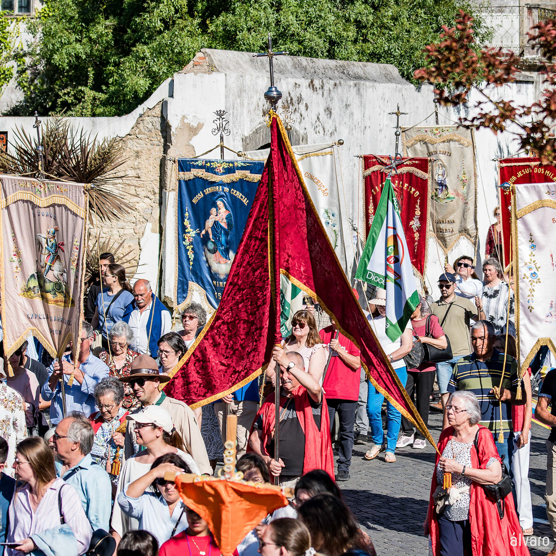 © Copyright uso não autorizado