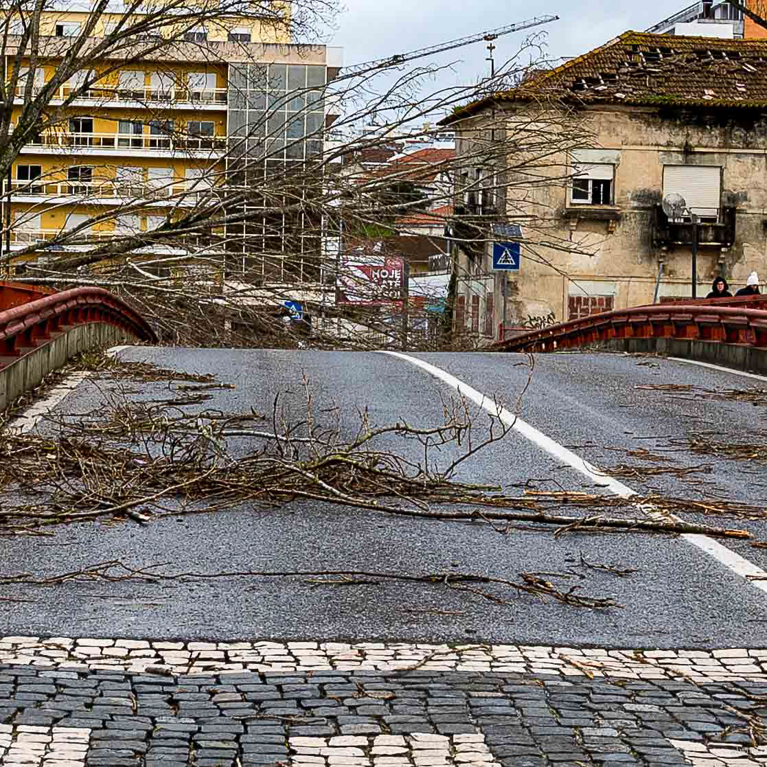 Dia 1 primeiras horas