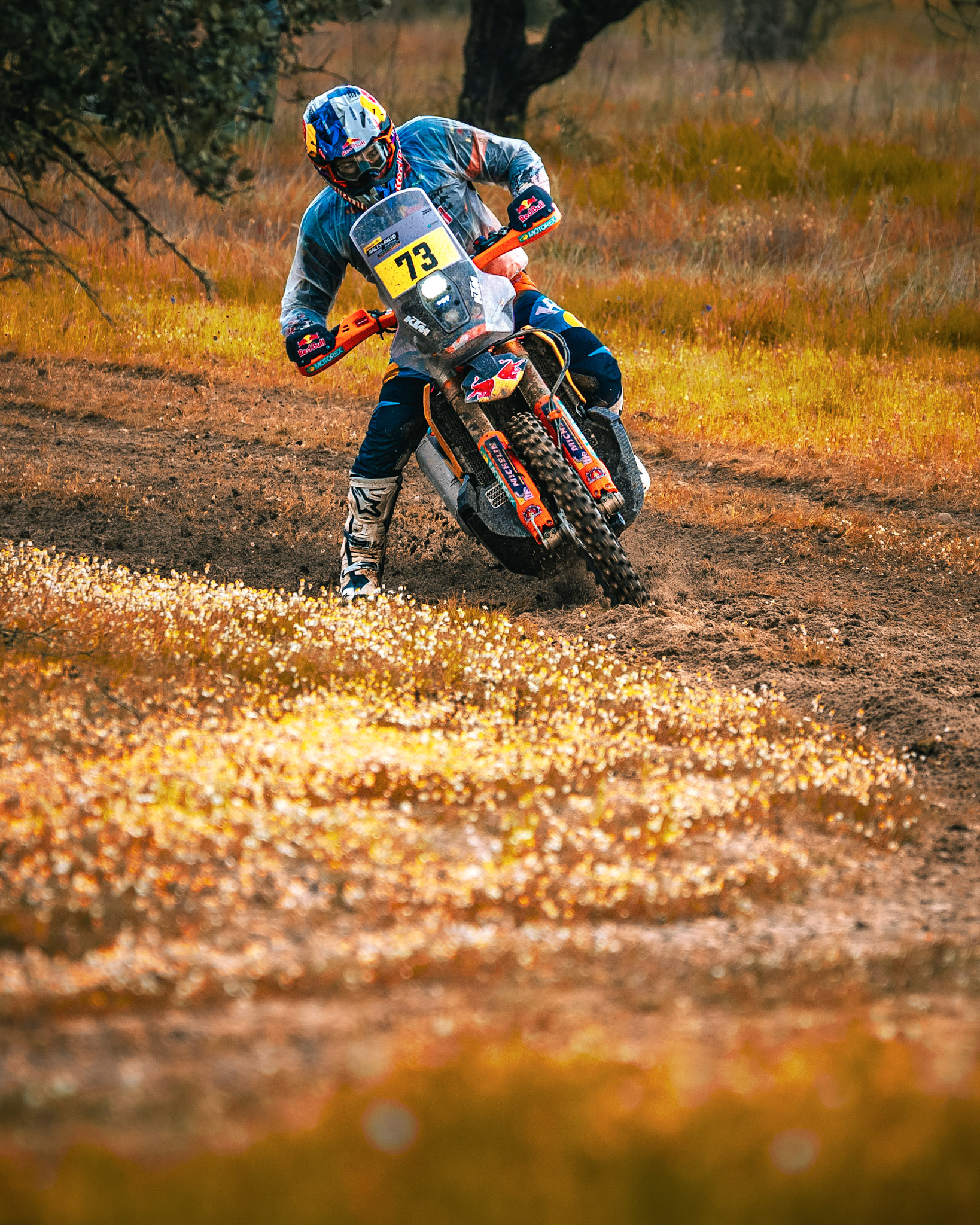 © Copyright uso não autorizado