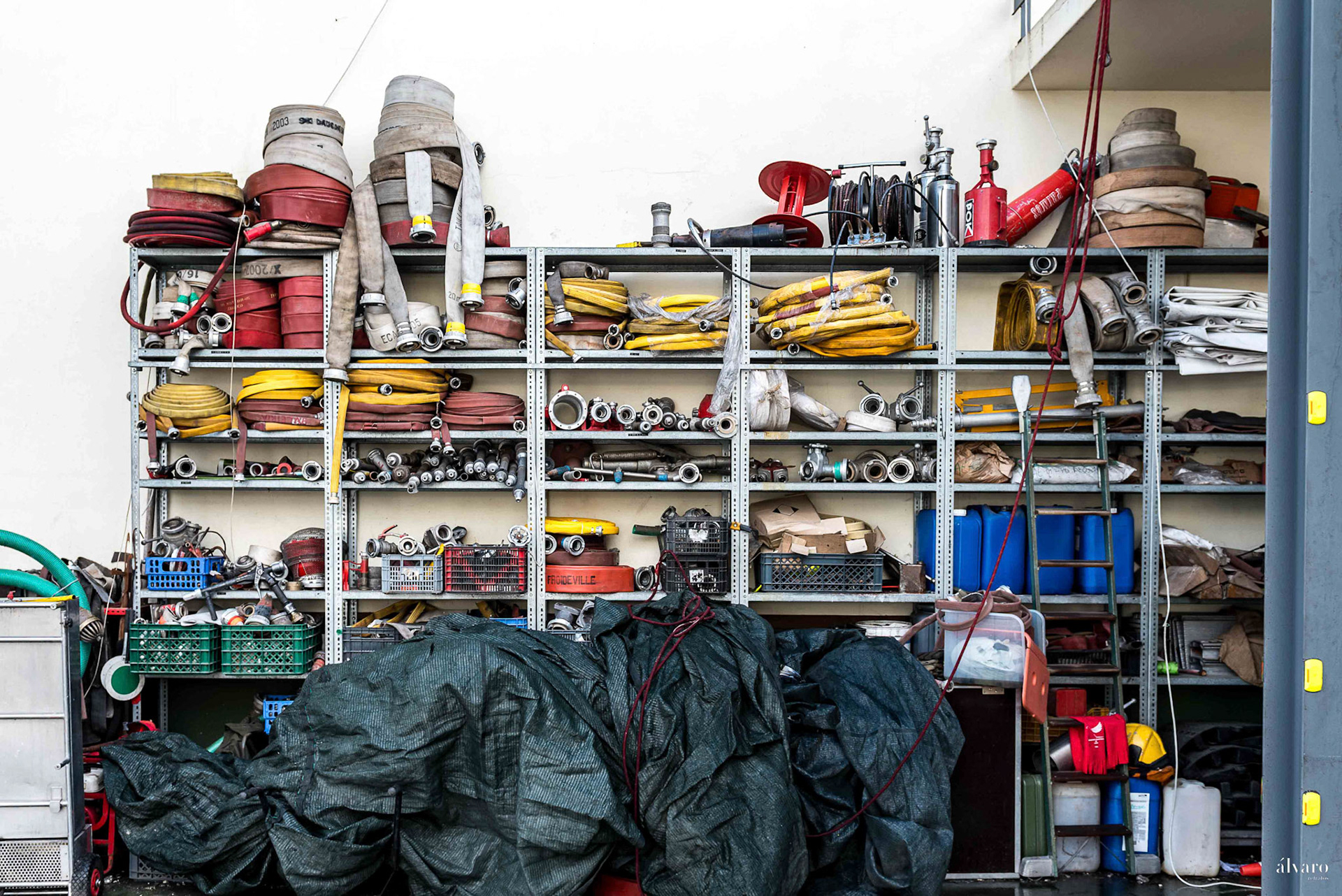 BV Leiria precisam ajuda