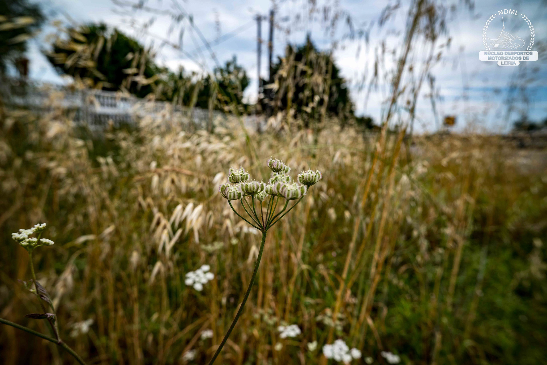 © Copyright uso não autorizado