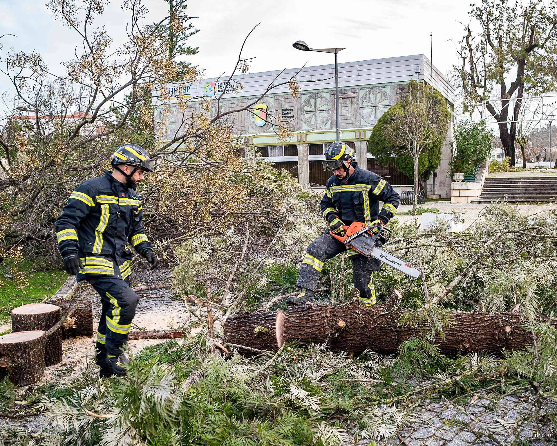 Dia 1 primeiras horas