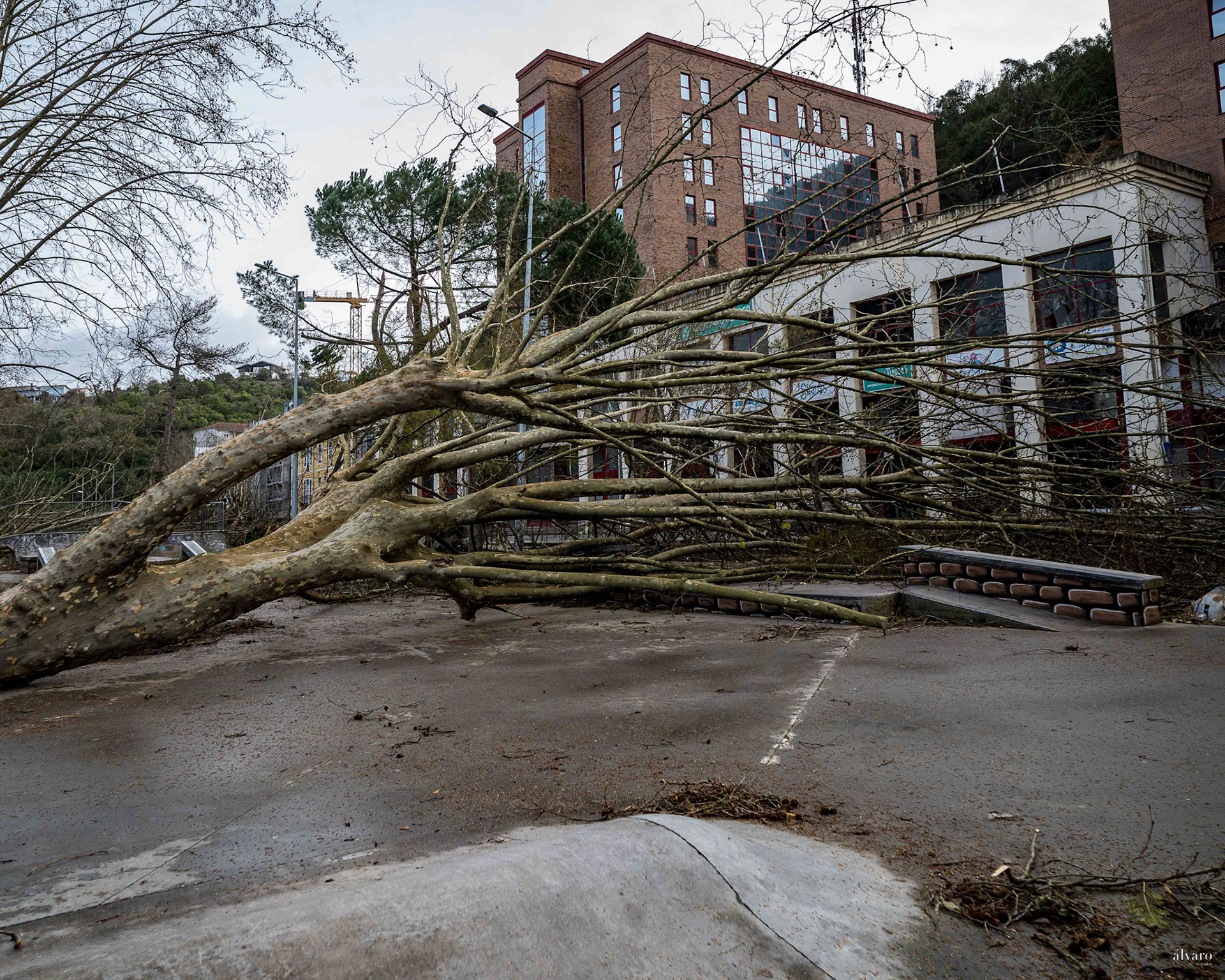 Dia 1 primeiras horas