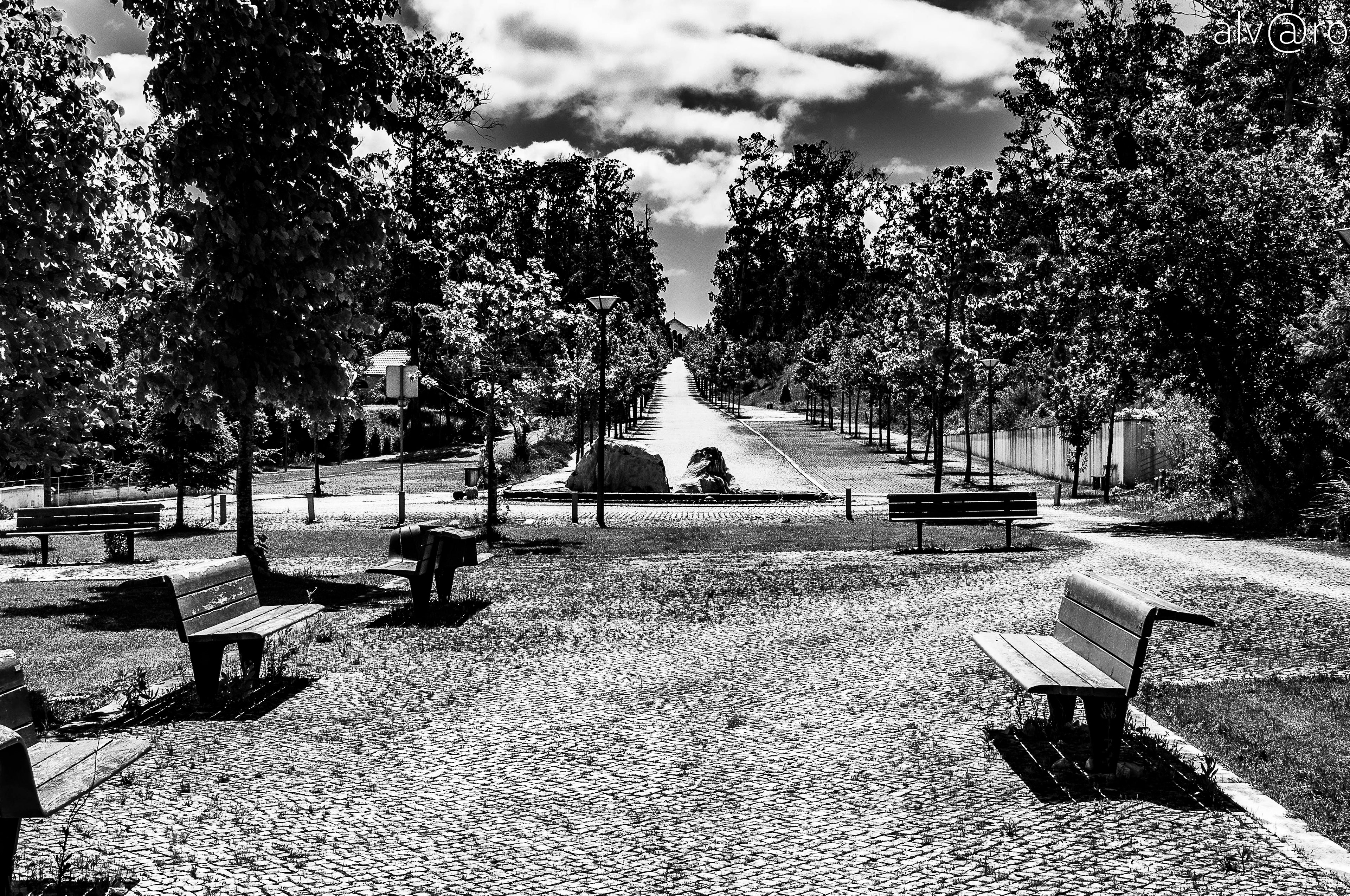 Termas de Monte Real