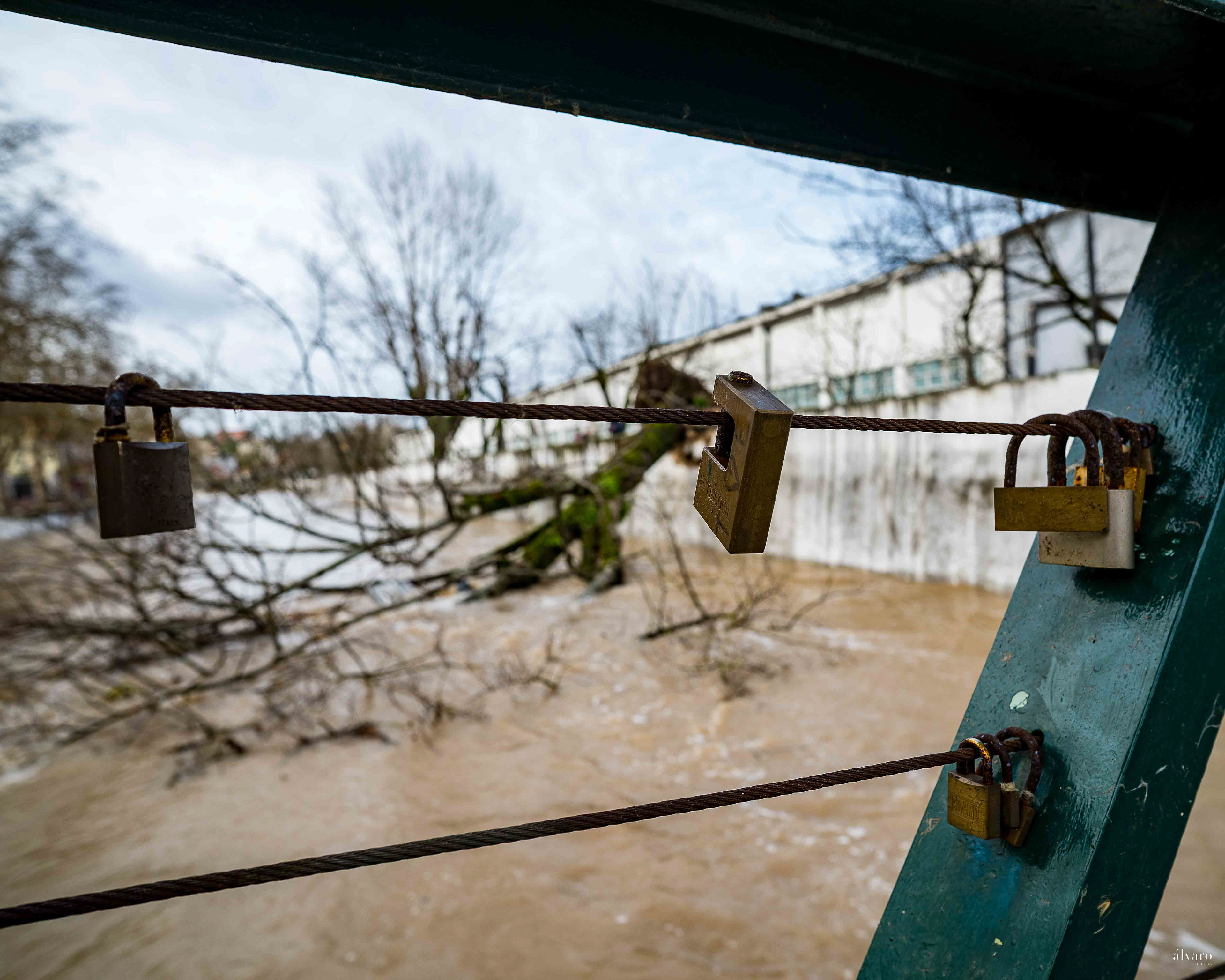 Dia 1 primeiras horas