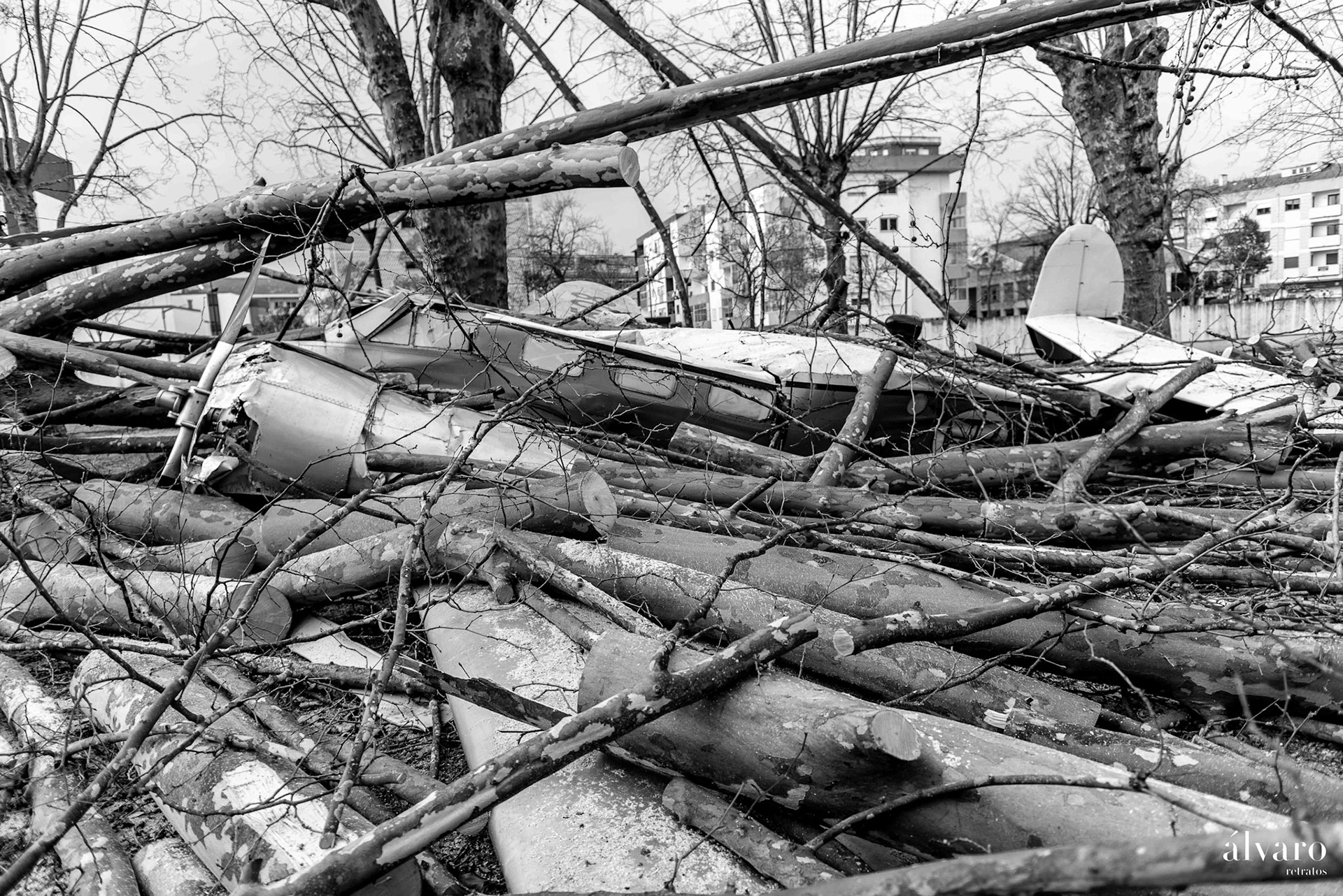 Dia 1 primeiras horas