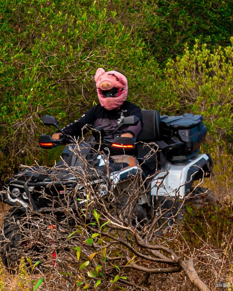 © Copyright uso não autorizado