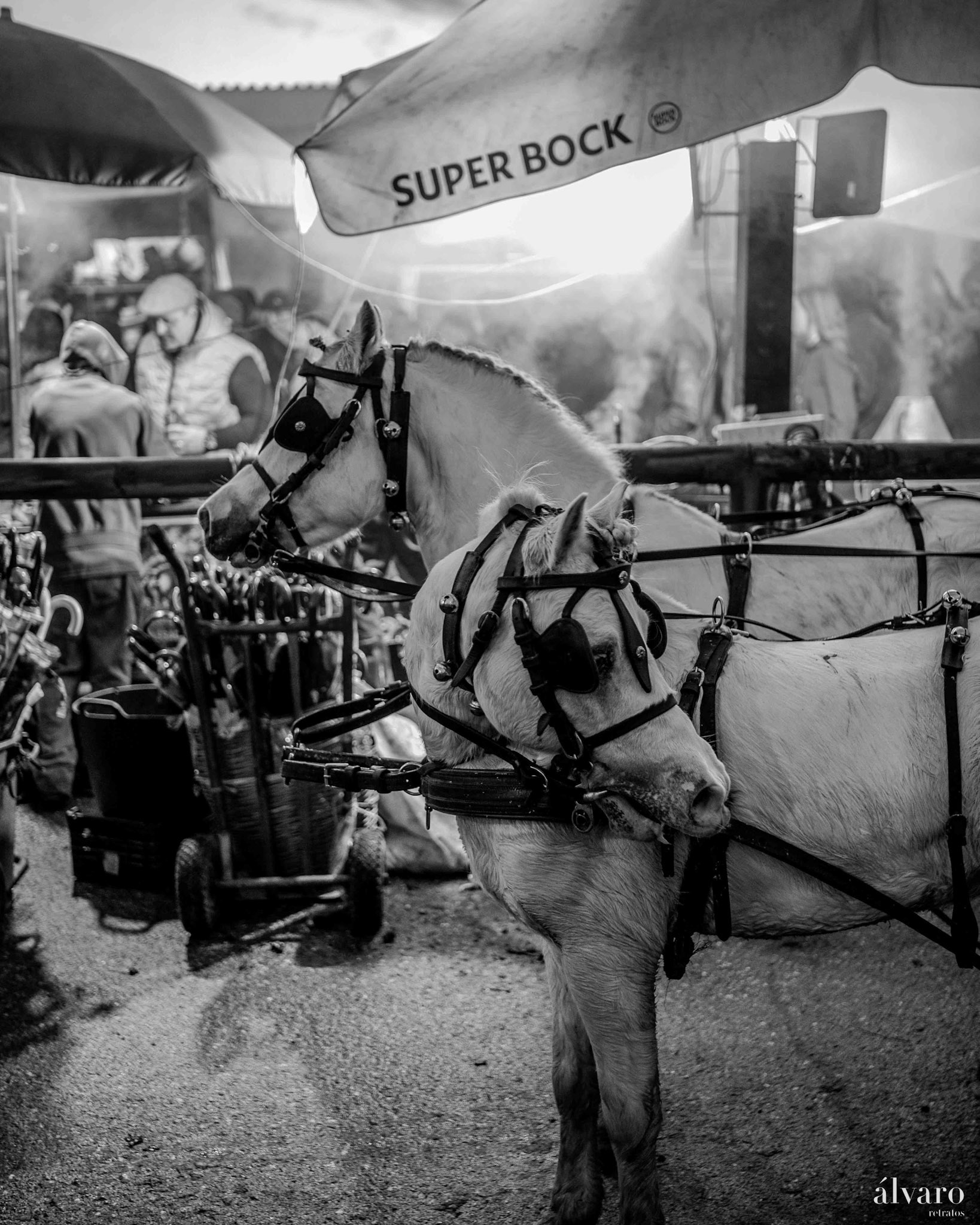 © Copyright uso não autorizado