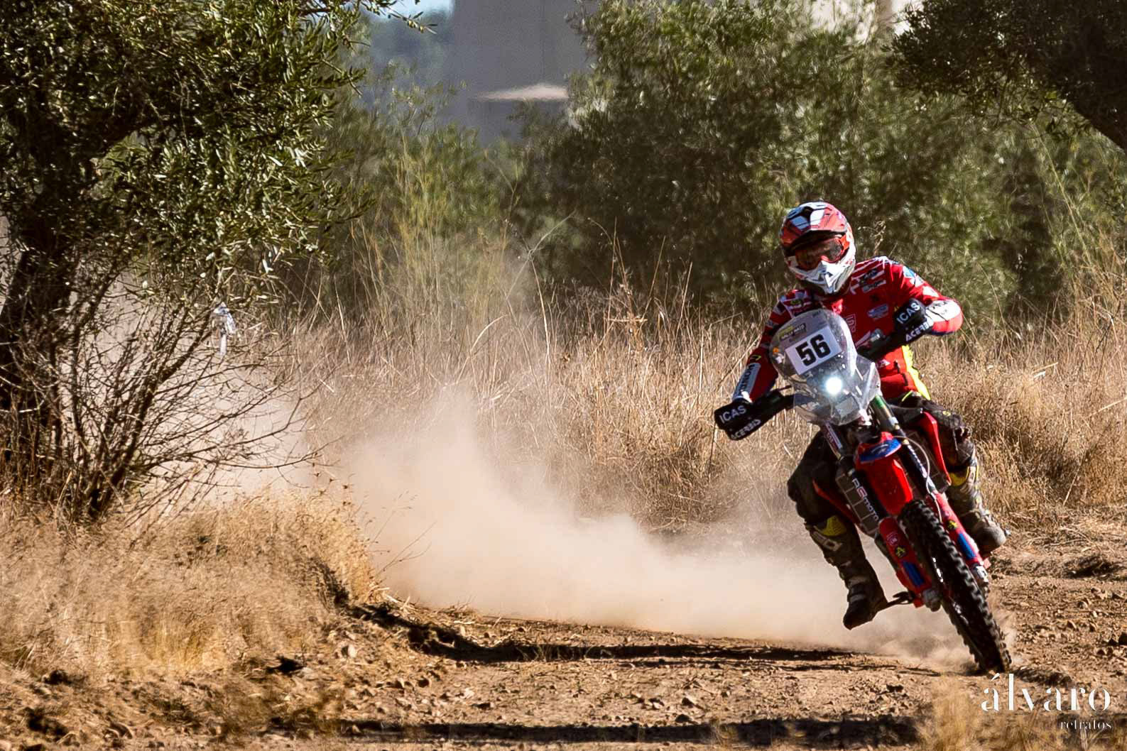 © Copyright uso não autorizado