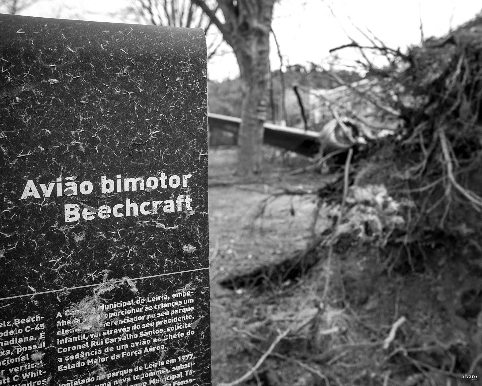 Dia 1 primeiras horas