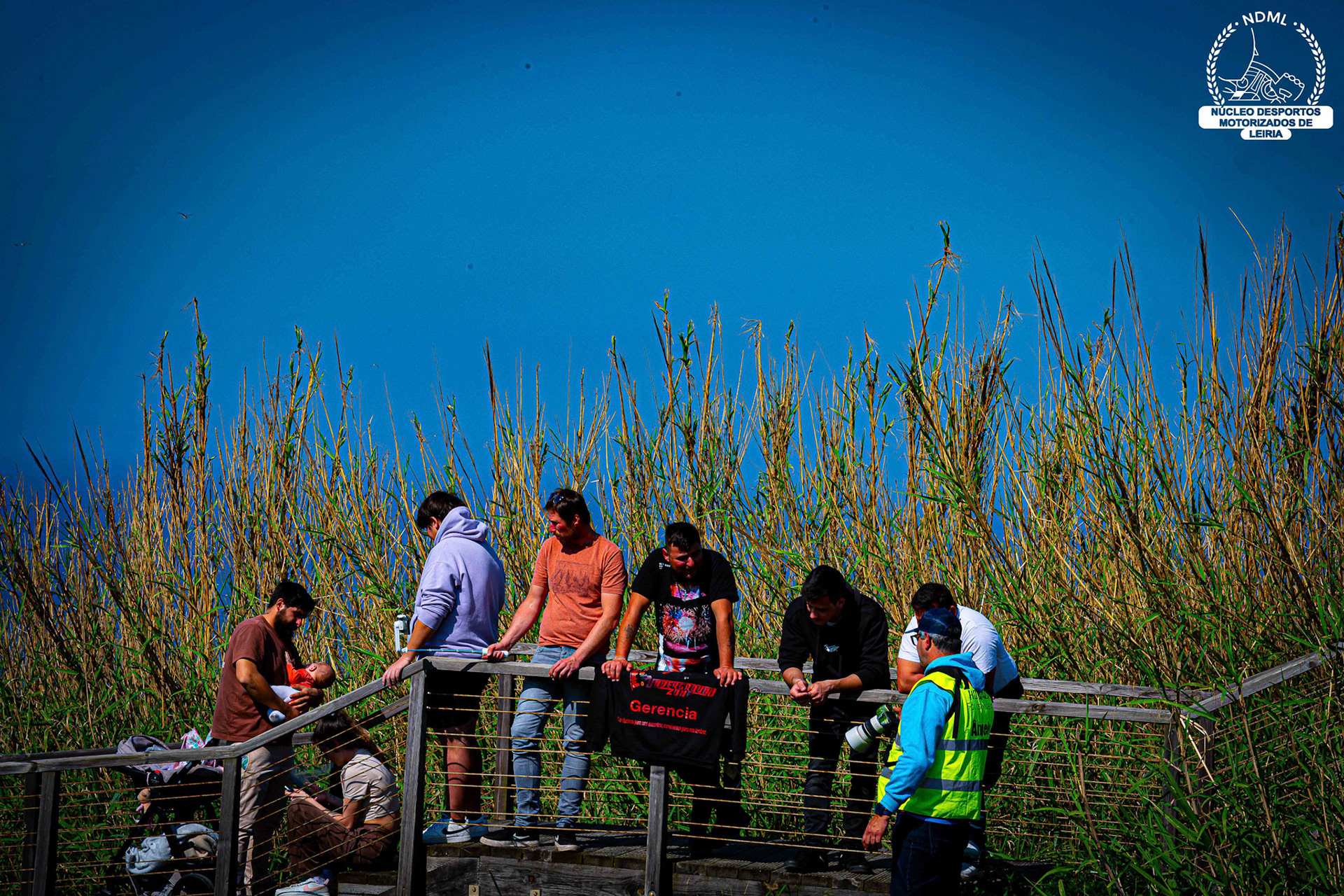 © Copyright uso não autorizado