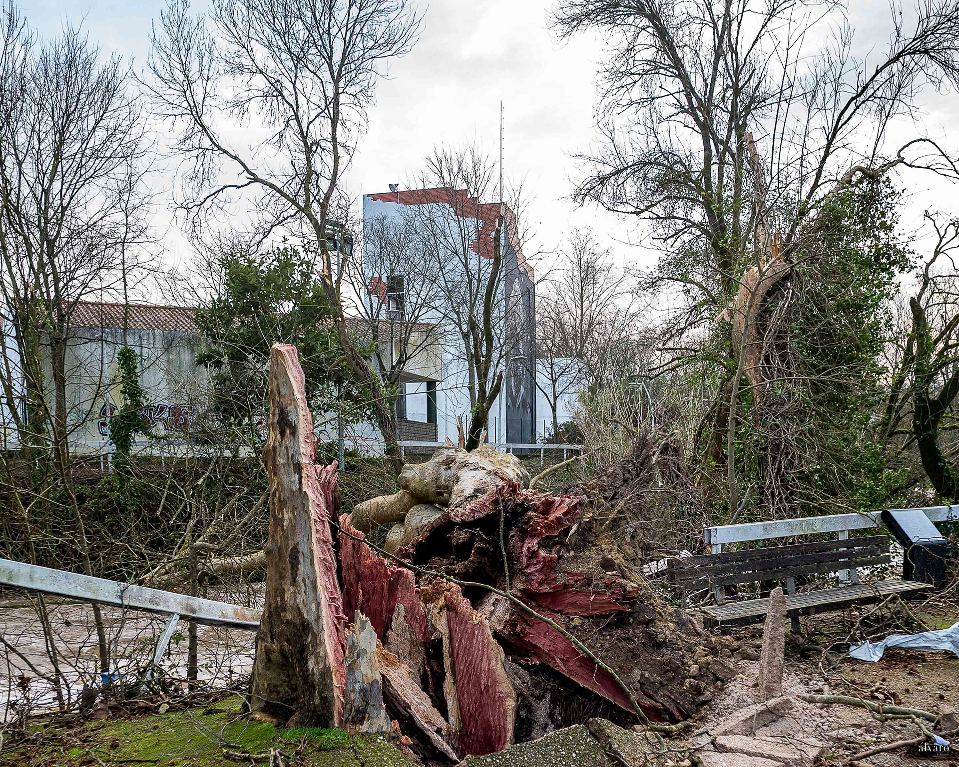 Dia 1 primeiras horas