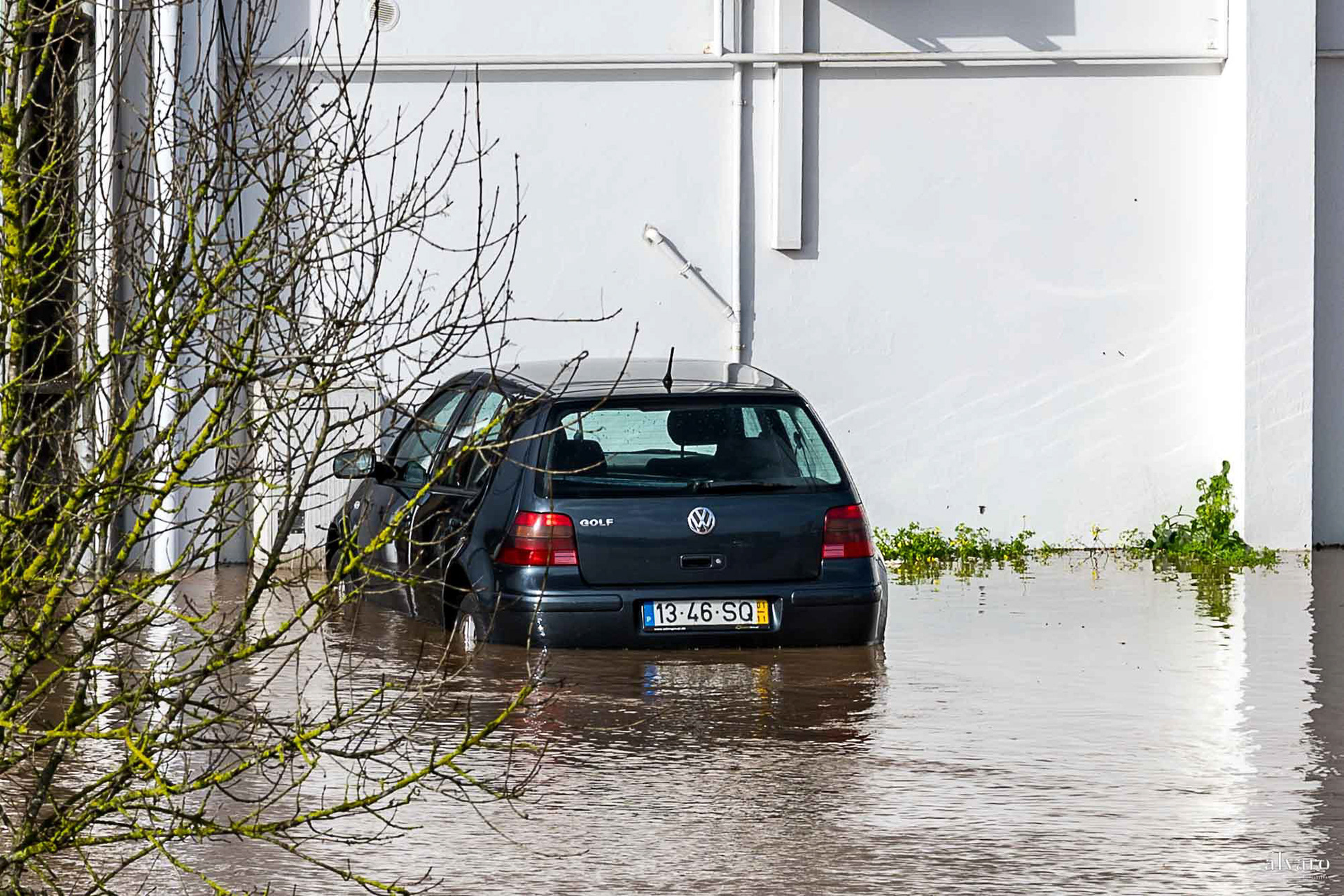 Depressão Leonardo dia 2