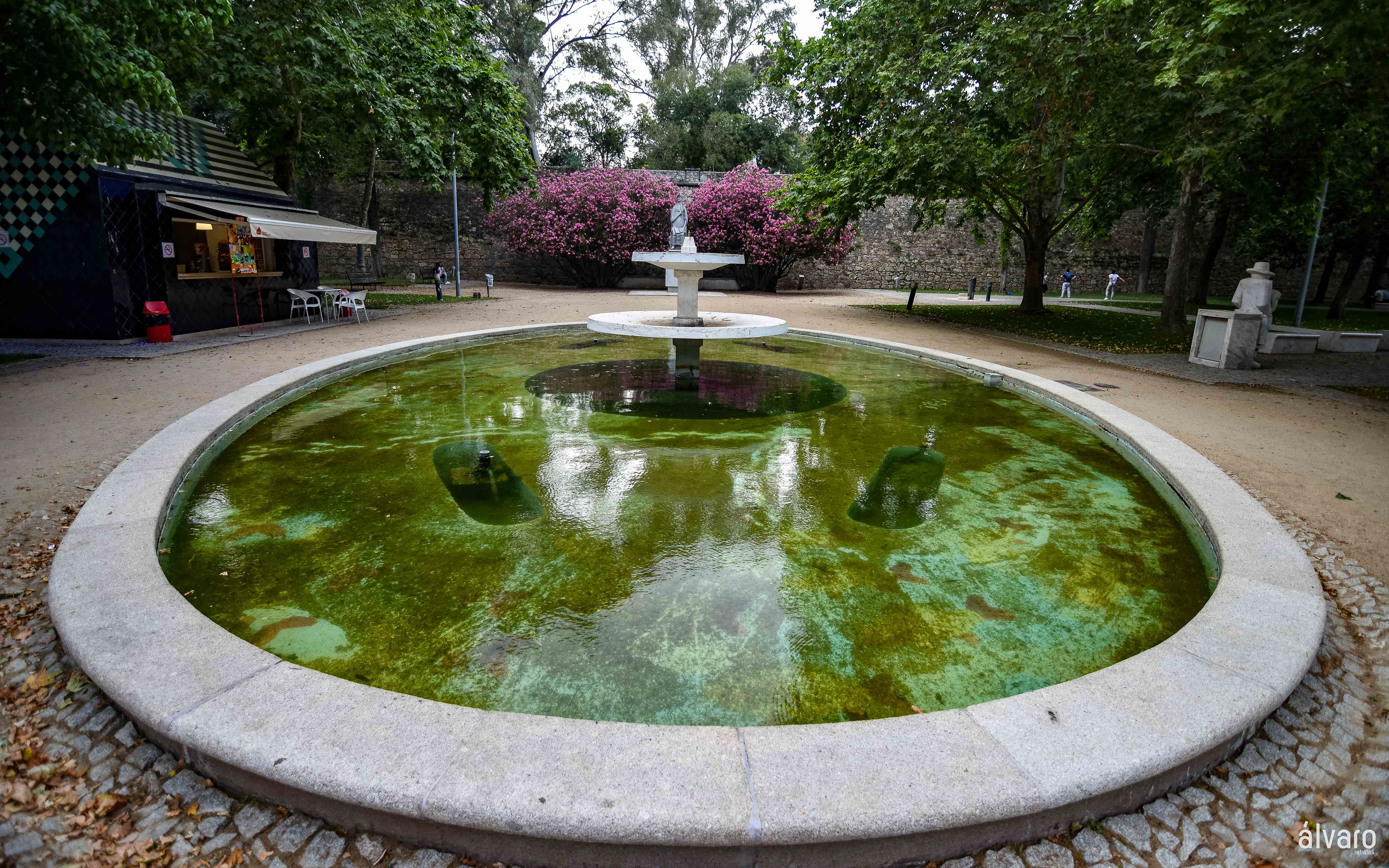 © Copyright uso não autorizado