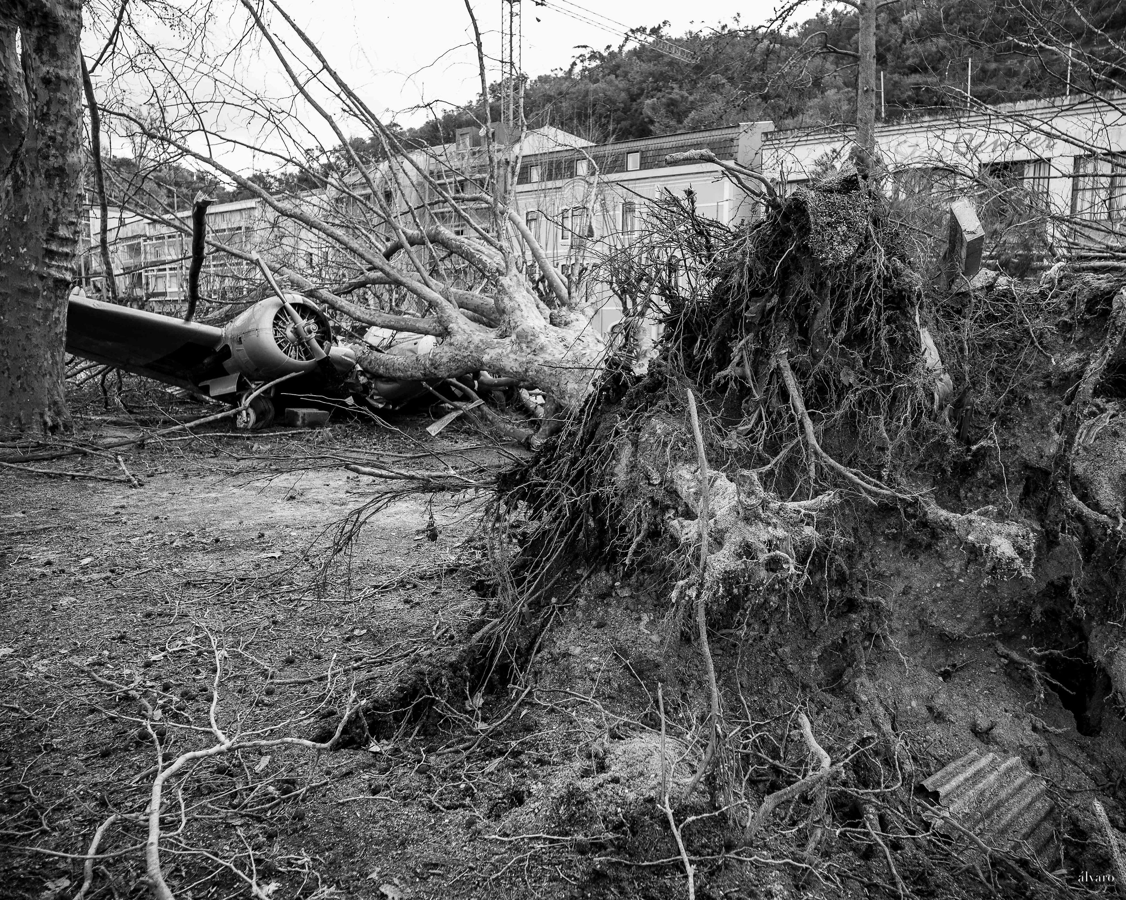 Dia 1 primeiras horas
