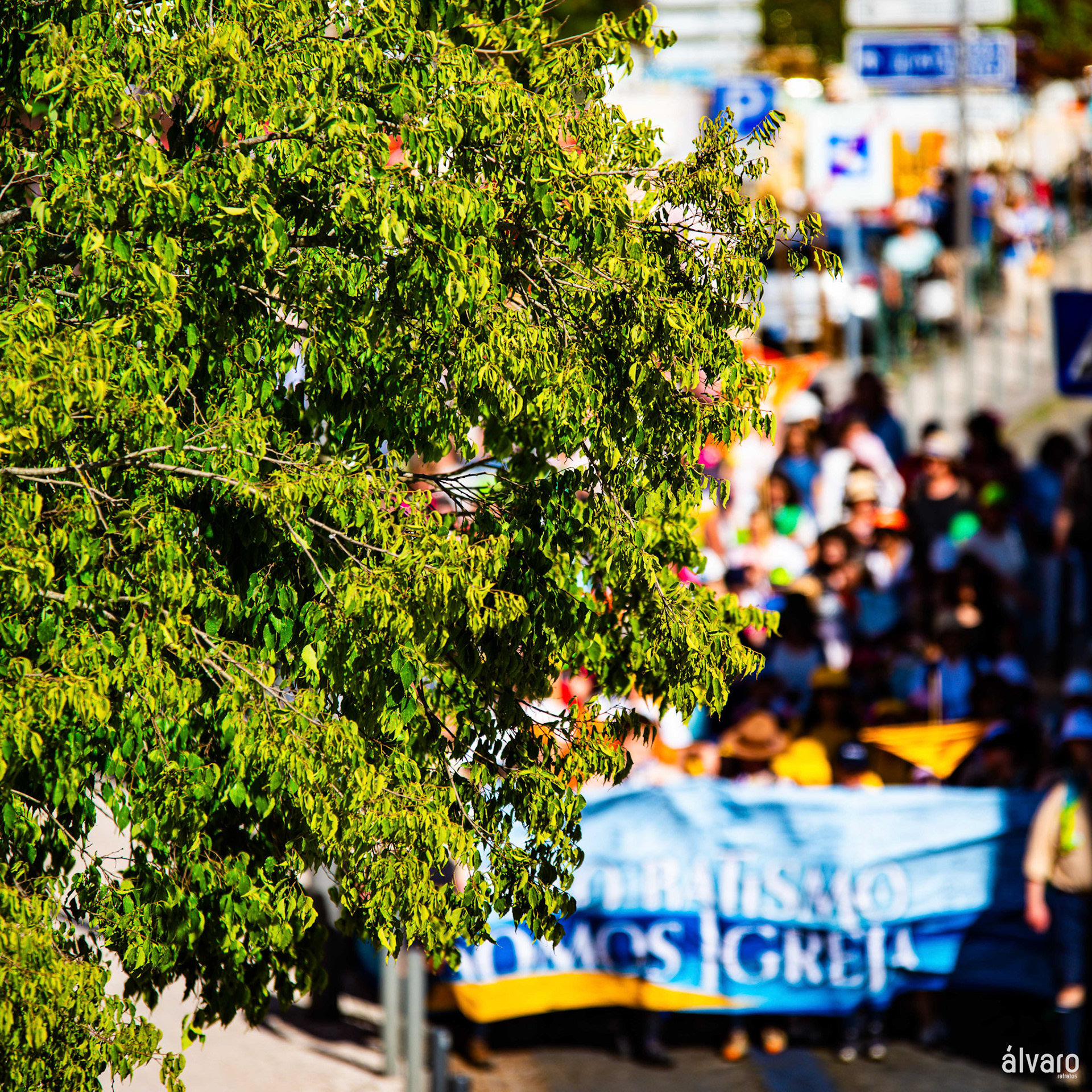 © Copyright uso não autorizado