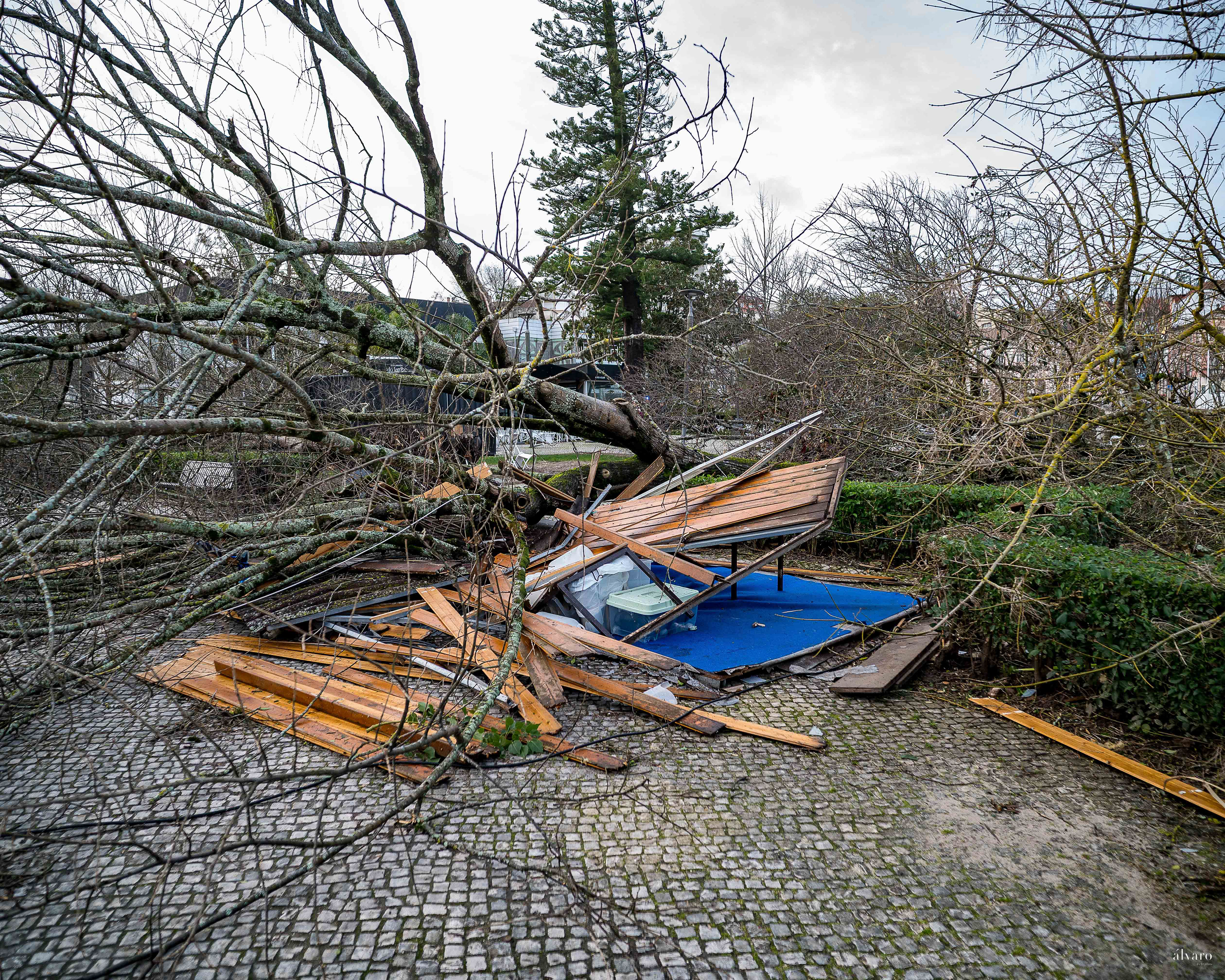 Dia 1 primeiras horas