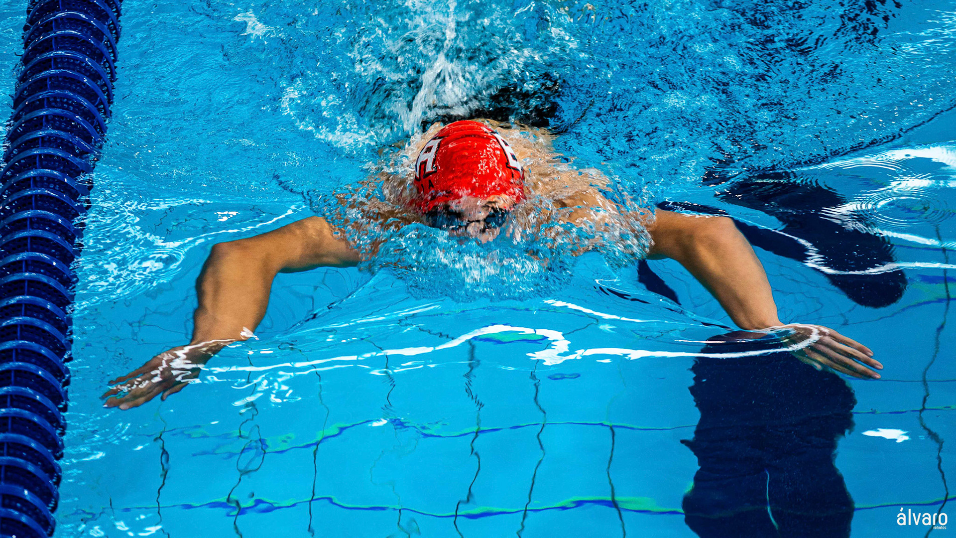 © Copyright uso não au© Copyright uso não autorizadotorizado