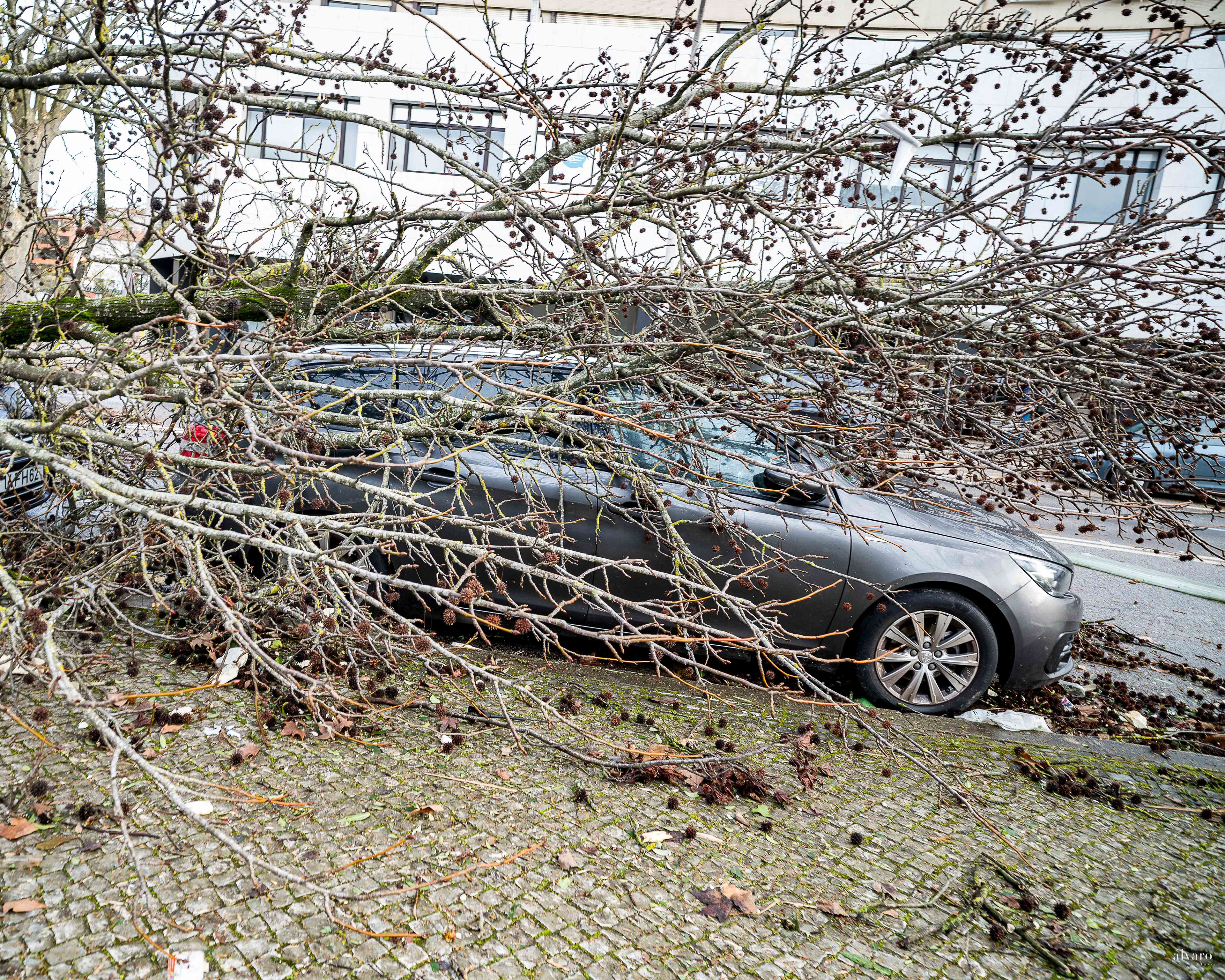 Dia 1 primeiras horas