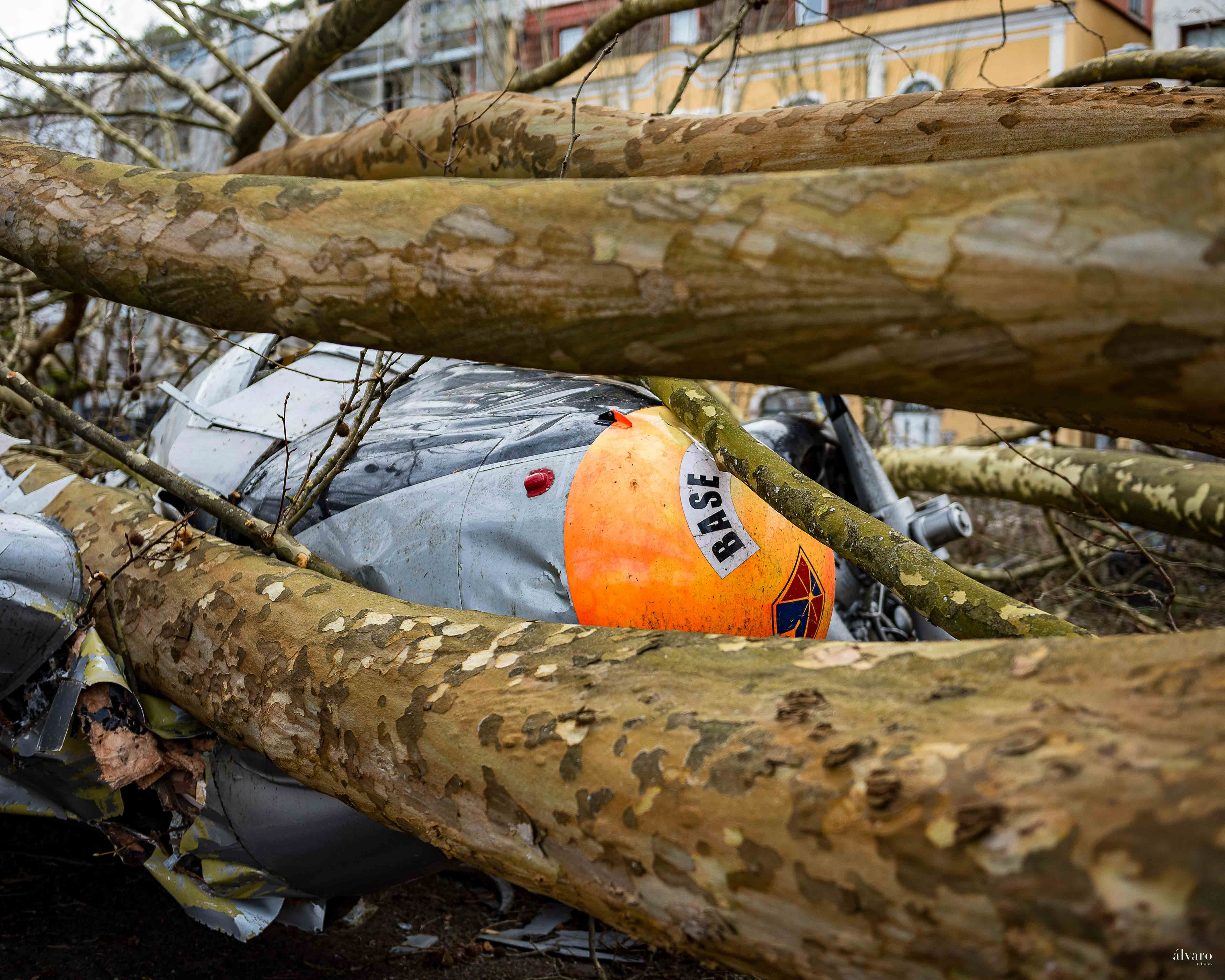 Dia 1 primeiras horas