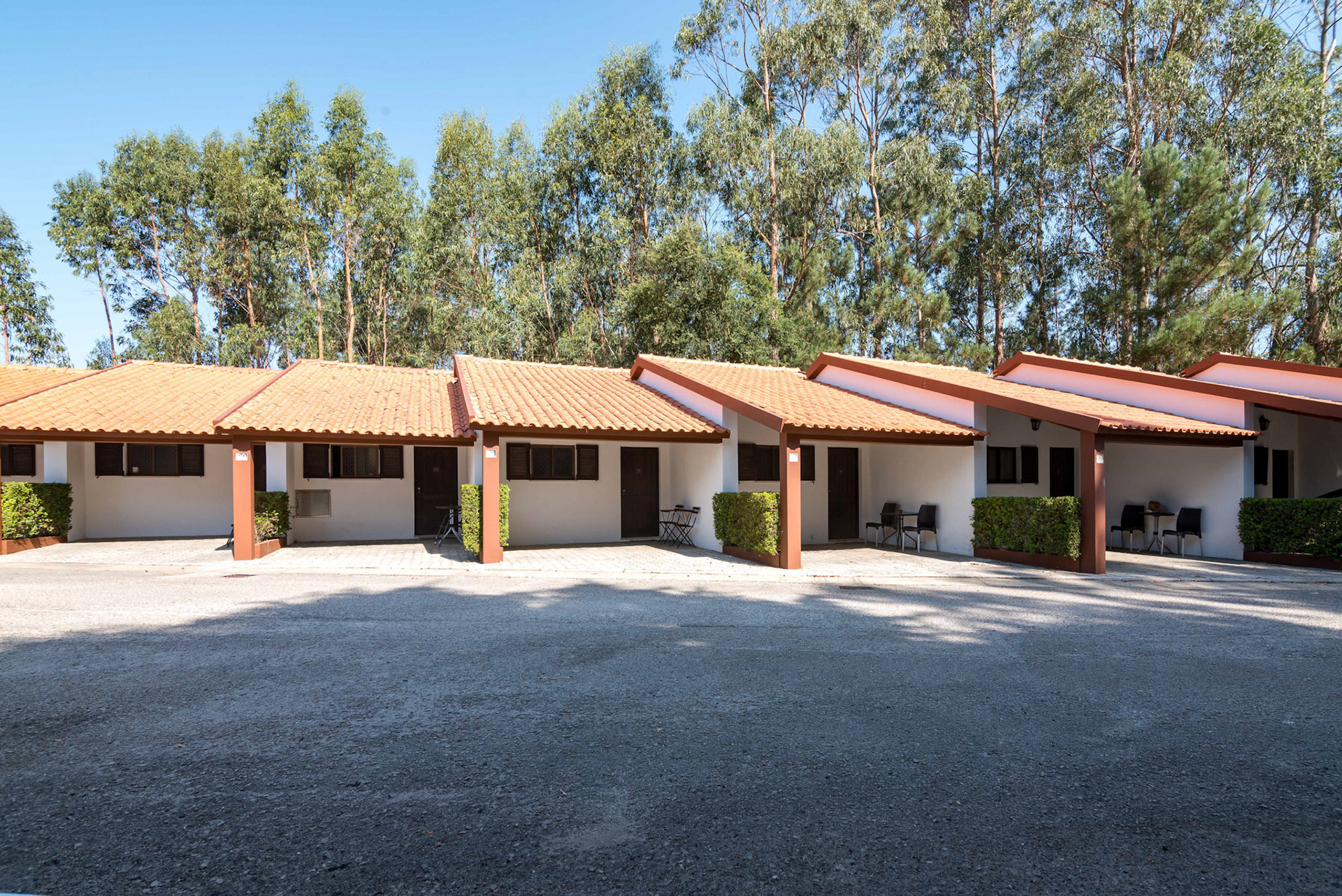 © Copyright uso não autorizado